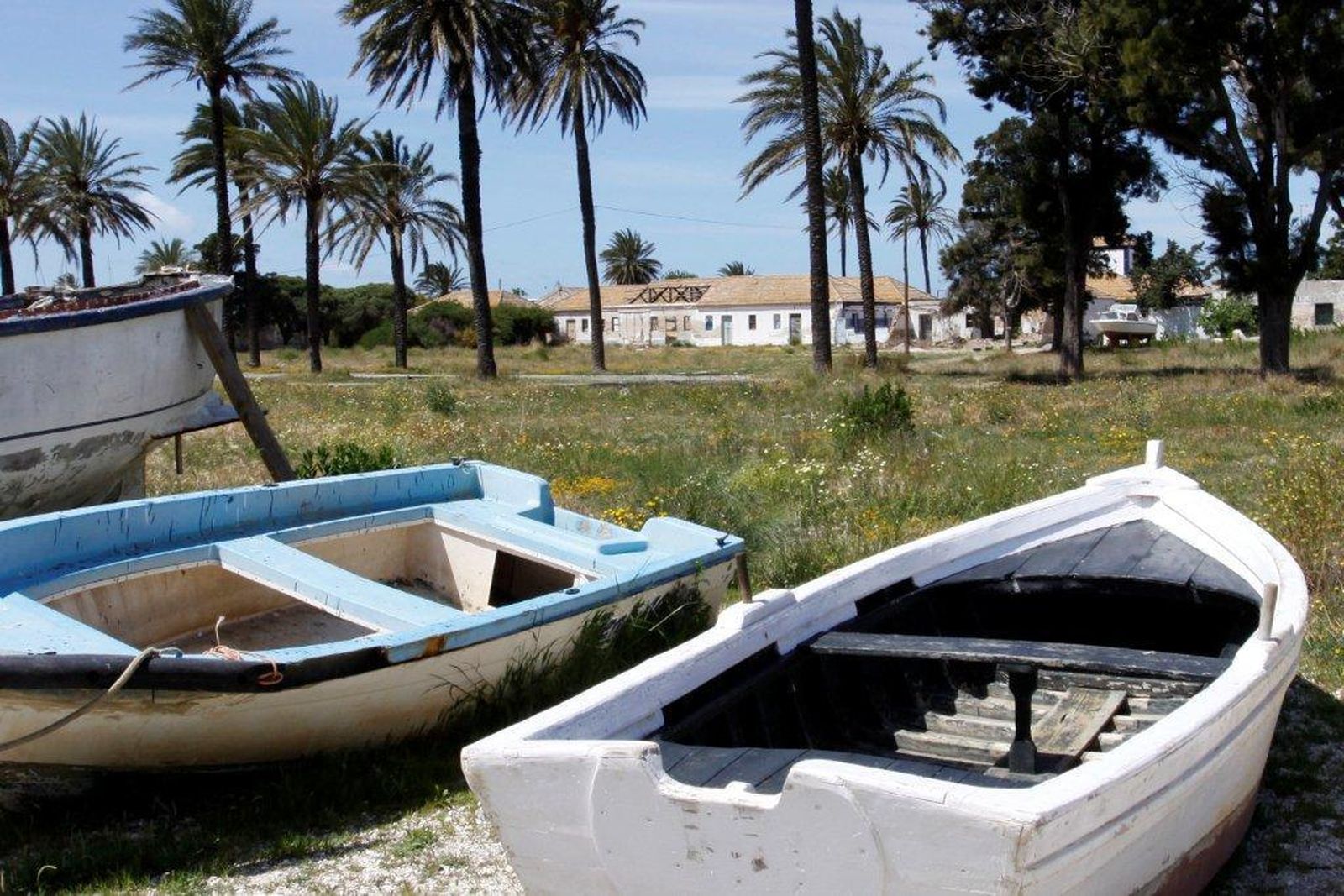 Una imagen del poblado de Sancti Petri, donde estaría ubicada esta nueva almadraba.