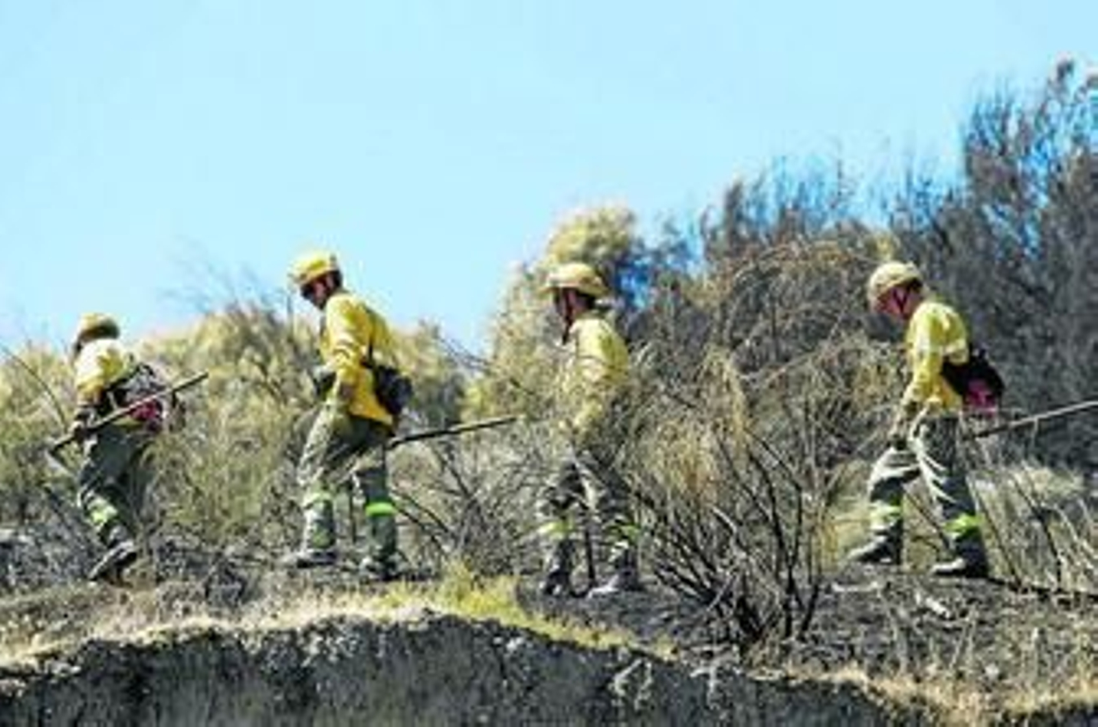 Hasta 230 efectivos participaron en la extinción del fuego en Cenes el viernes 22 de agosto.