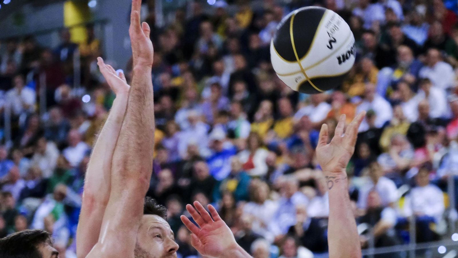 El Unicaja, campeón de Copa: Todas las imágenes del partido, la fiesta y la llegada a Málaga