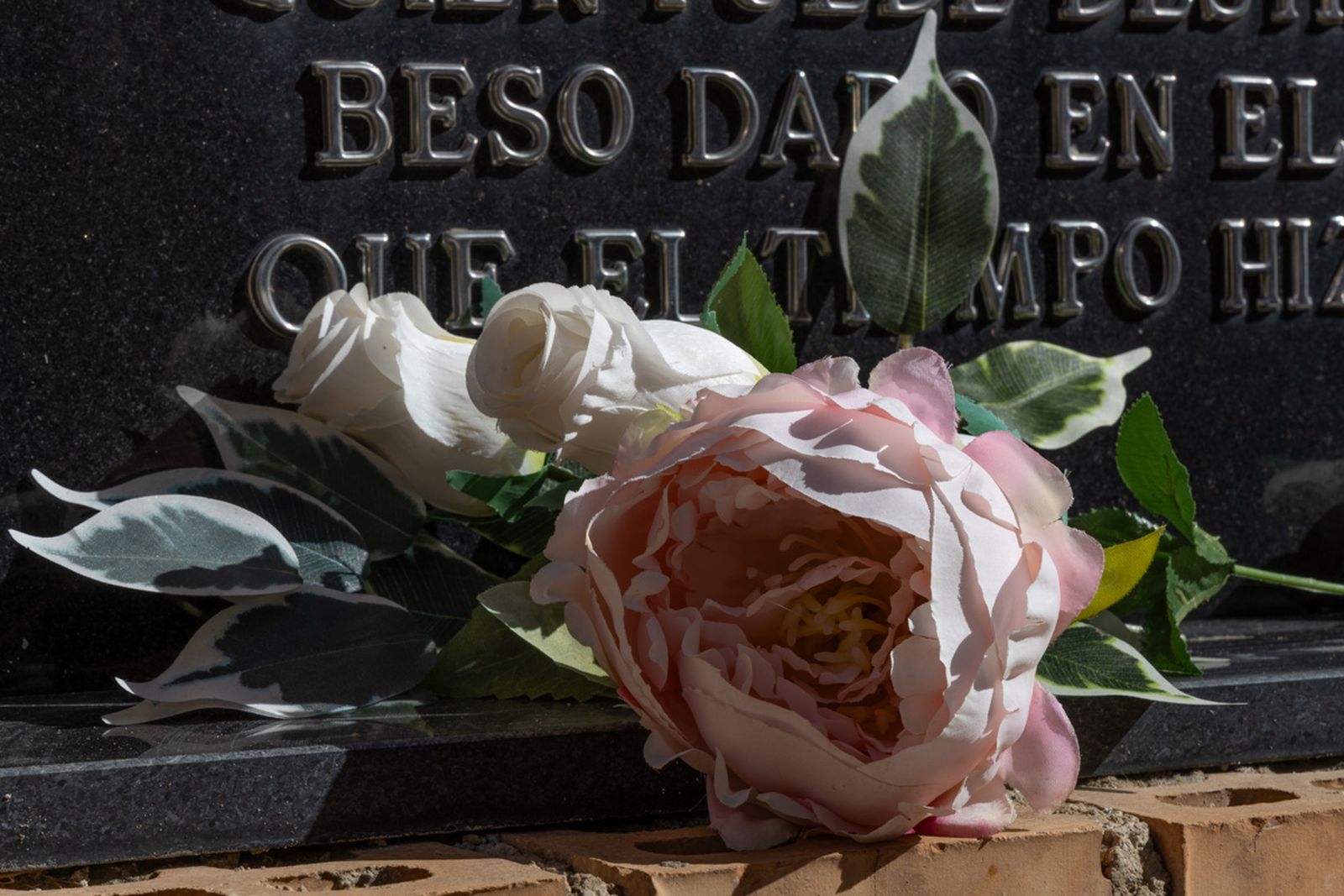 Día de Los Santos en el cementerio de San Fernando y San Eufrasio de Jaén, en imágenes