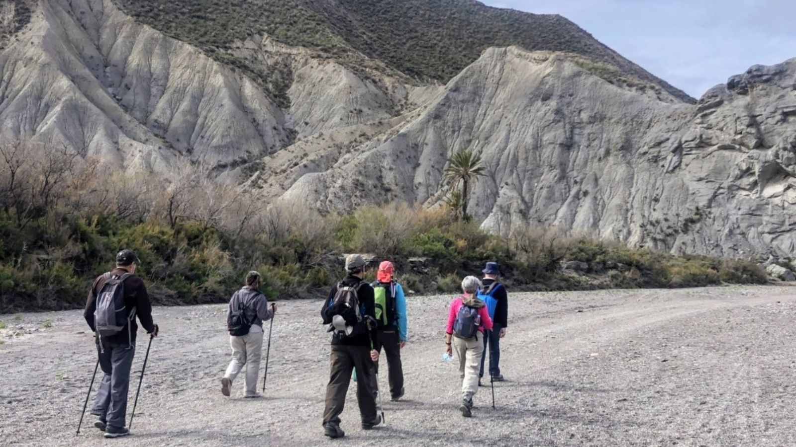 Esta iniciativa tiene como objetivo fomentar la actividad física y la adquisición de hábitos de vida saludables entre la población mayor.