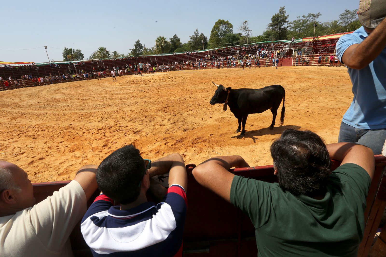 Capeas de Trigueros en imágenes