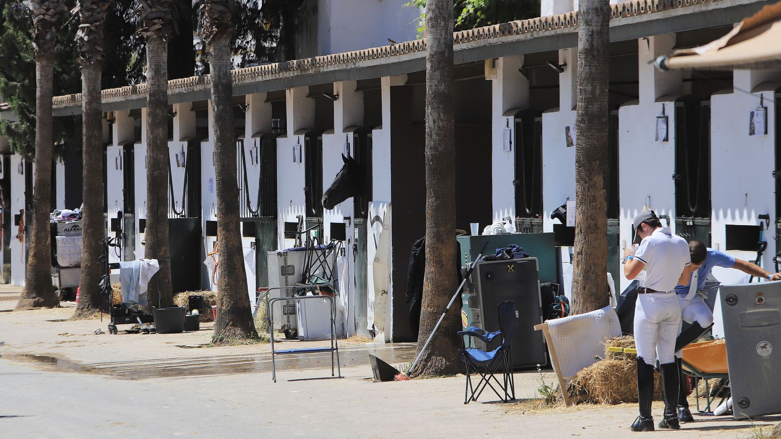 Concurso de Doma Clásica en Real Escuela