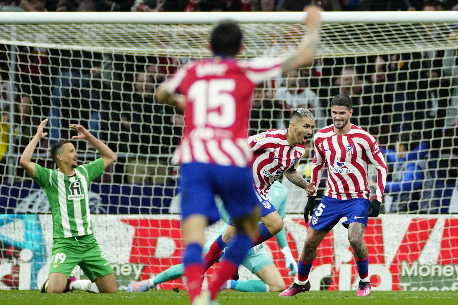 Las fotos del Atlético Madrid - Betis