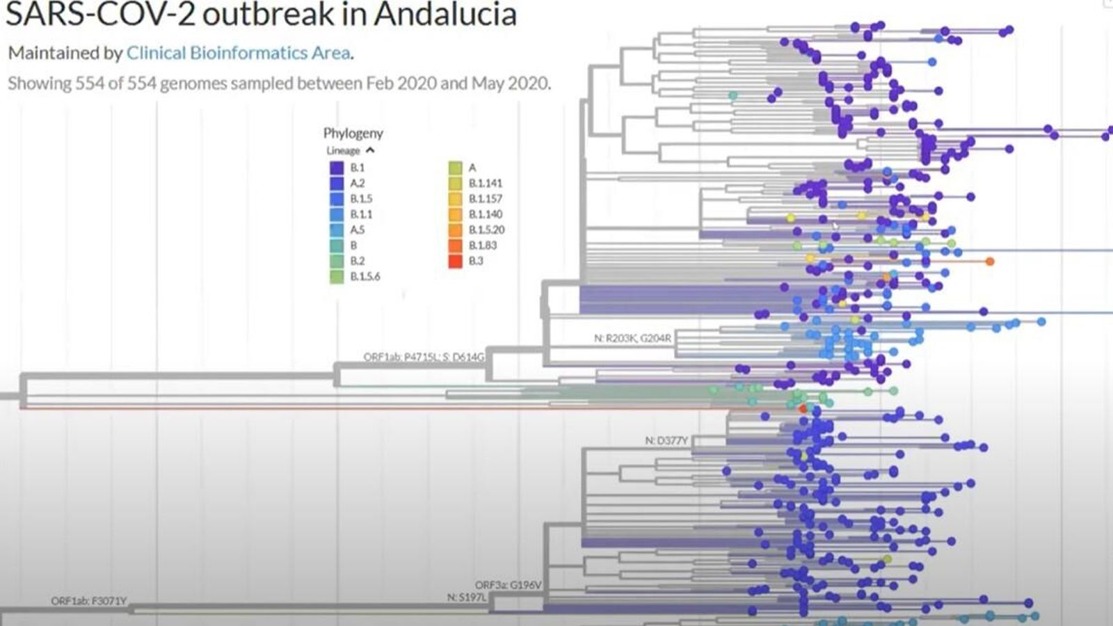 Casos de coronavirus en Andalucía