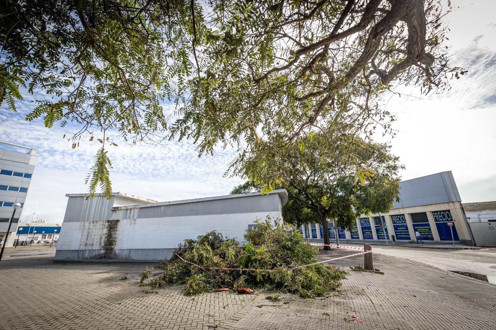Los daños aún visibles del temporal Bernard en Cádiz