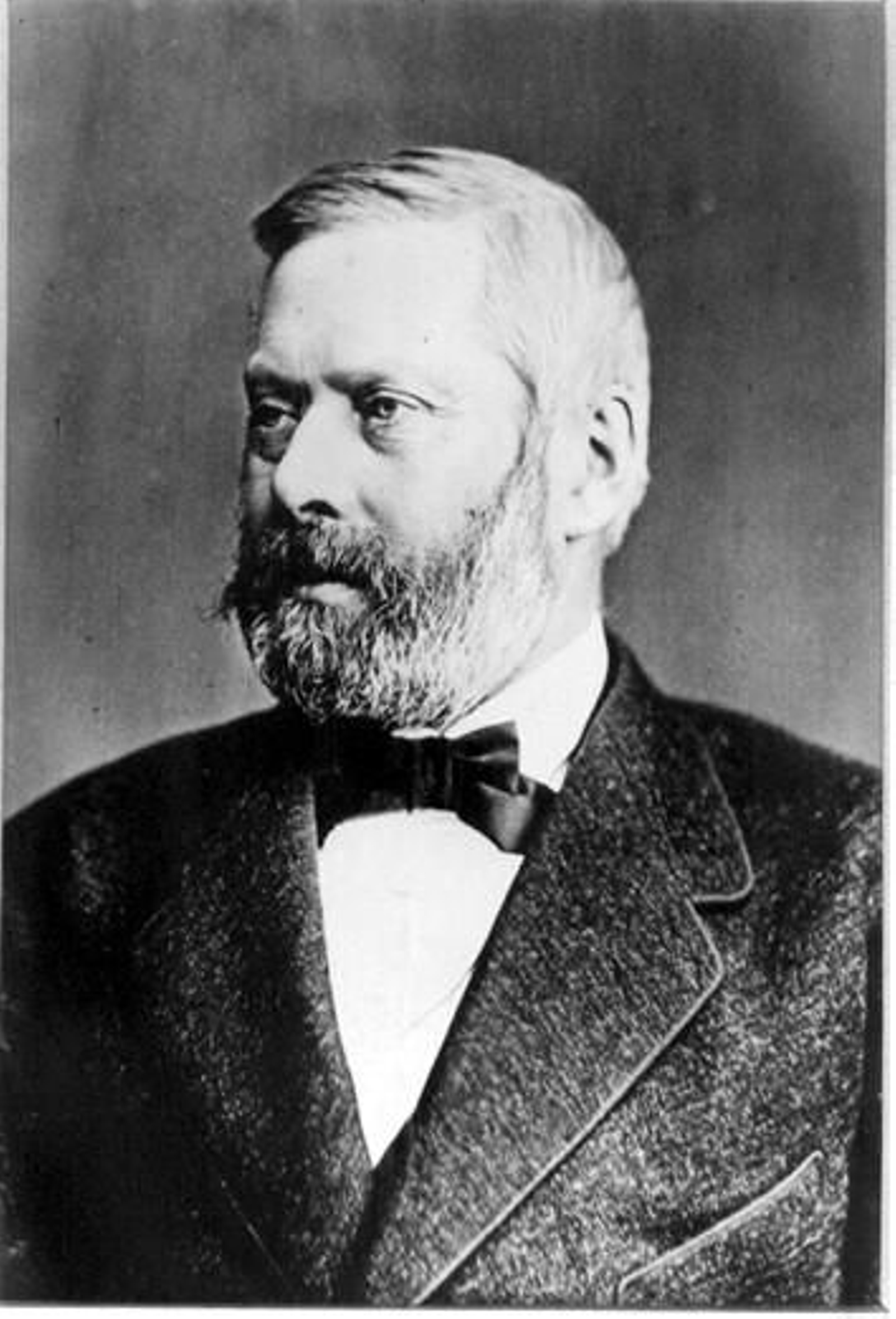 Wilhelm Wattenbach.