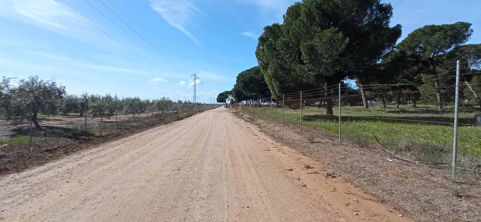 Las imágenes de la Ruta Azul en Bollullos de la Mitación