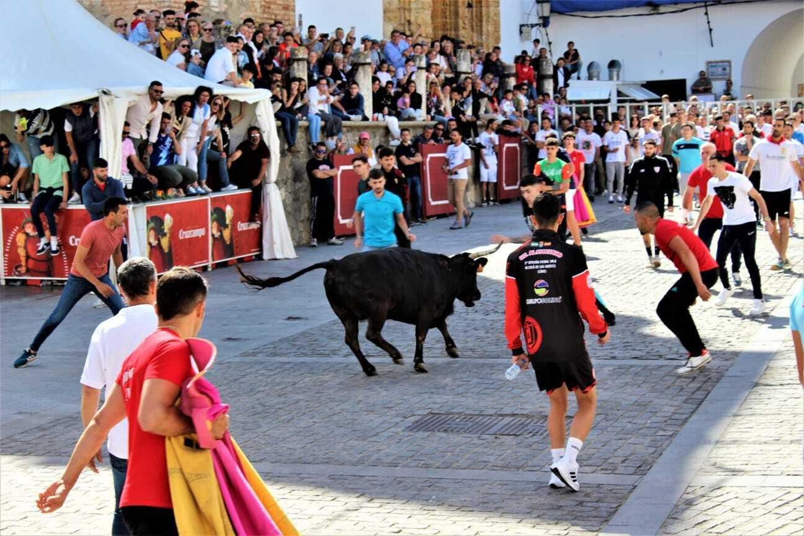 Festividad de San Jorge, patrón de Alcalá de los Gazules