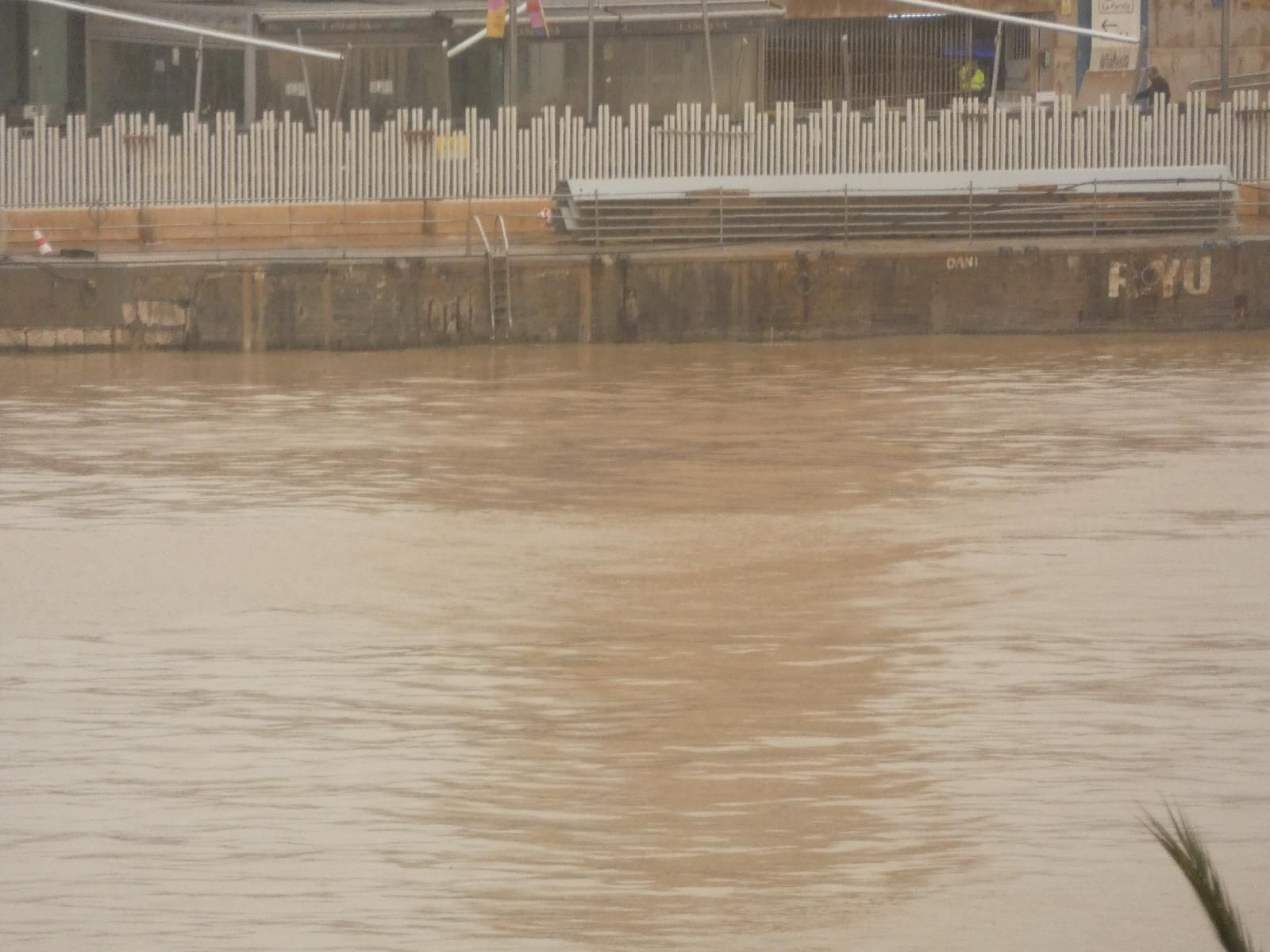 El buque de crucero Volendam