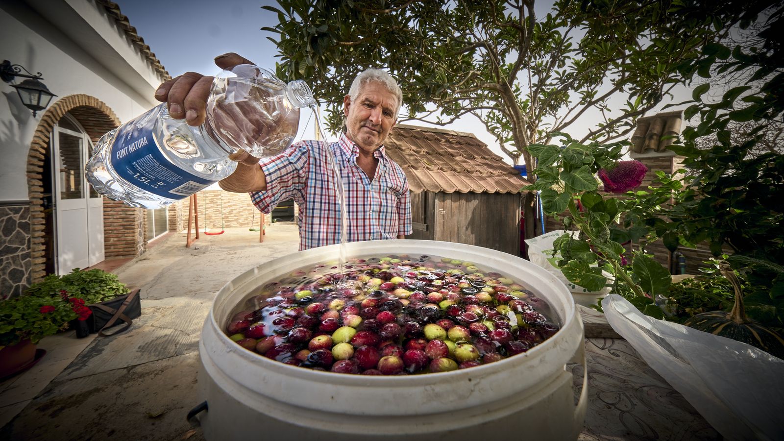 La falta de precipitaciones provoca problemas de agua en pozos de los núcleos rurales de Vejer. Este vecino tuvo que aliñar las aceitunas con agua mineral embotellada.