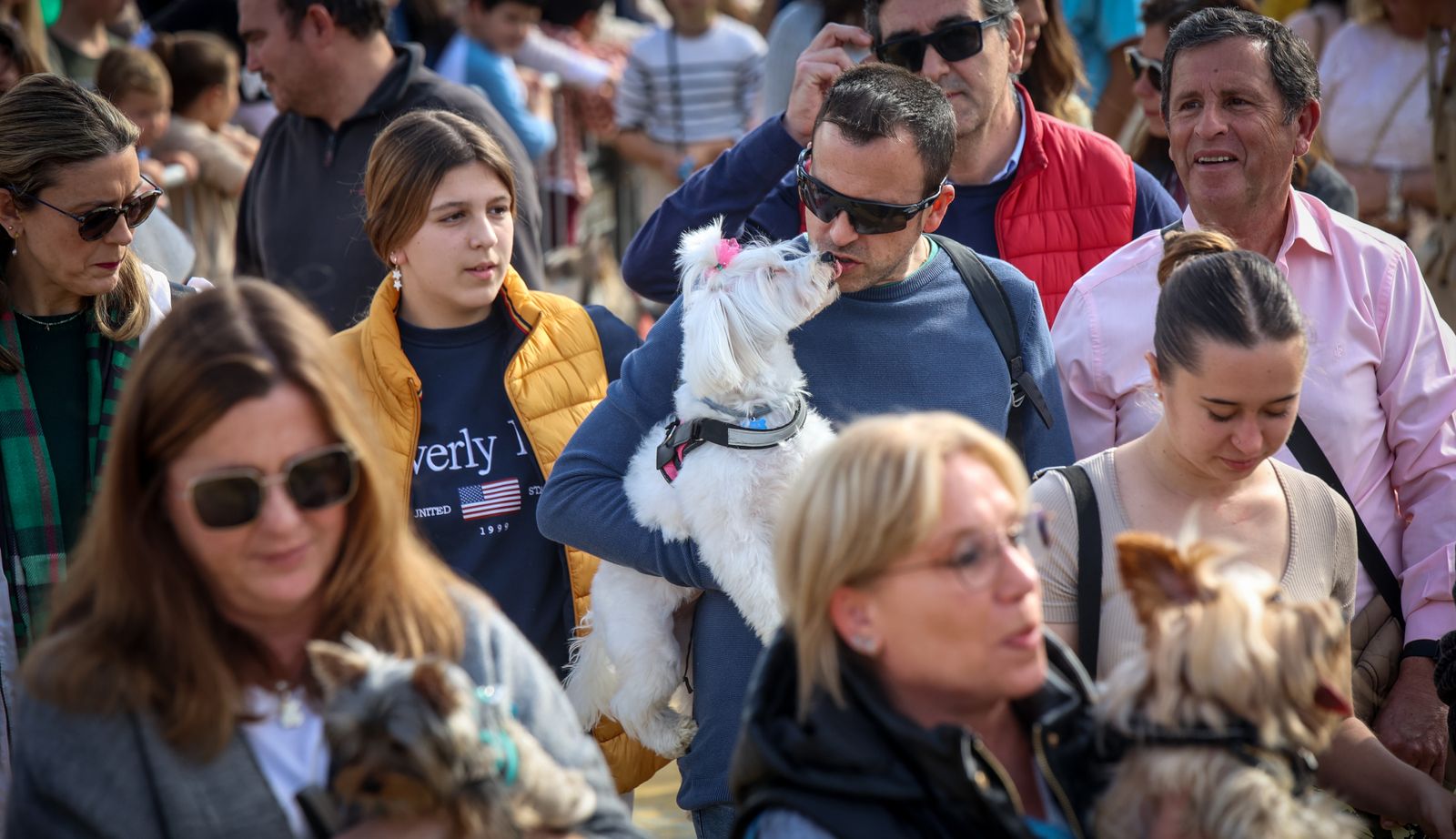 Fiesta de san Antón 2024 en Jerez