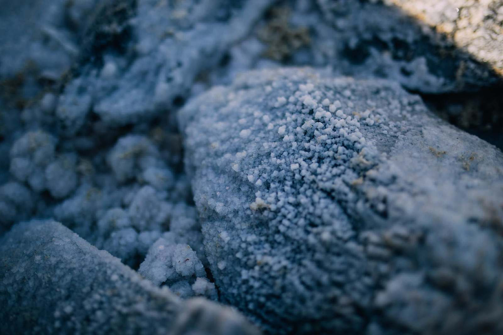 Un recorrido fotográfico por el Paraje Natural Marismas del Odiel