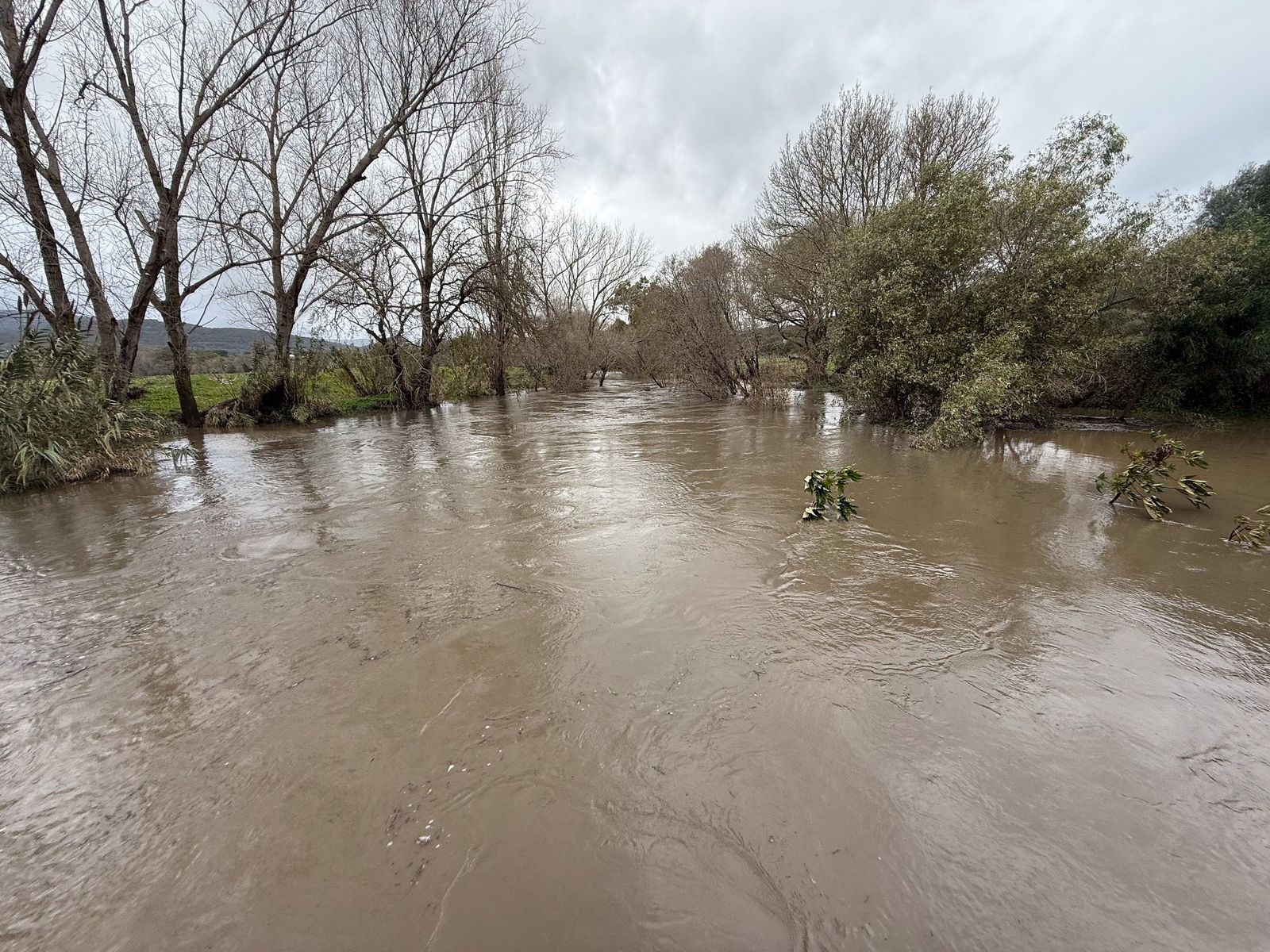 Las fotos del desembalse de agua en la presa de Charco Redondo de Los Barrios