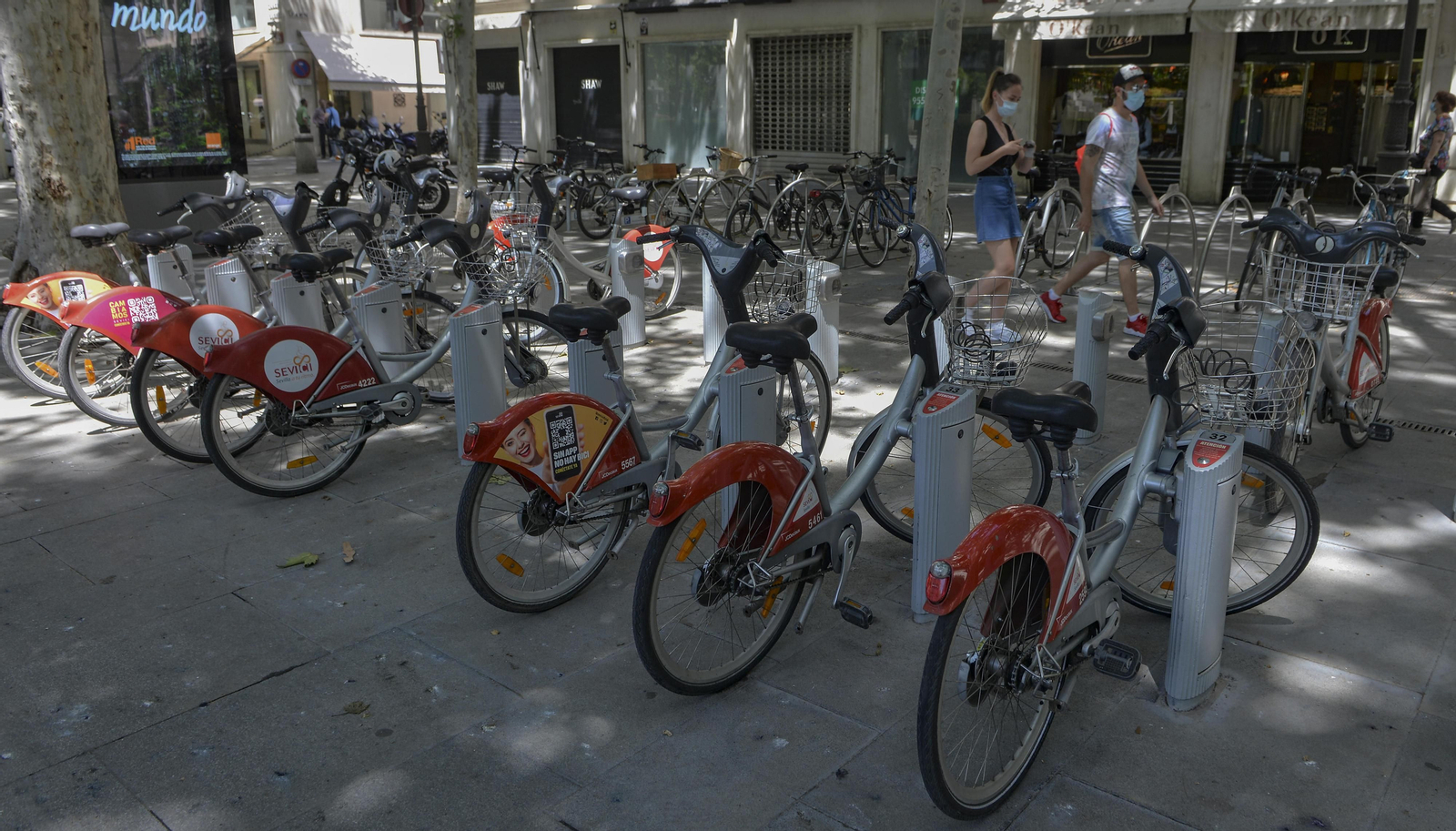 Varias bicicletas aparcadas en la estación de la Plaza Nueva.