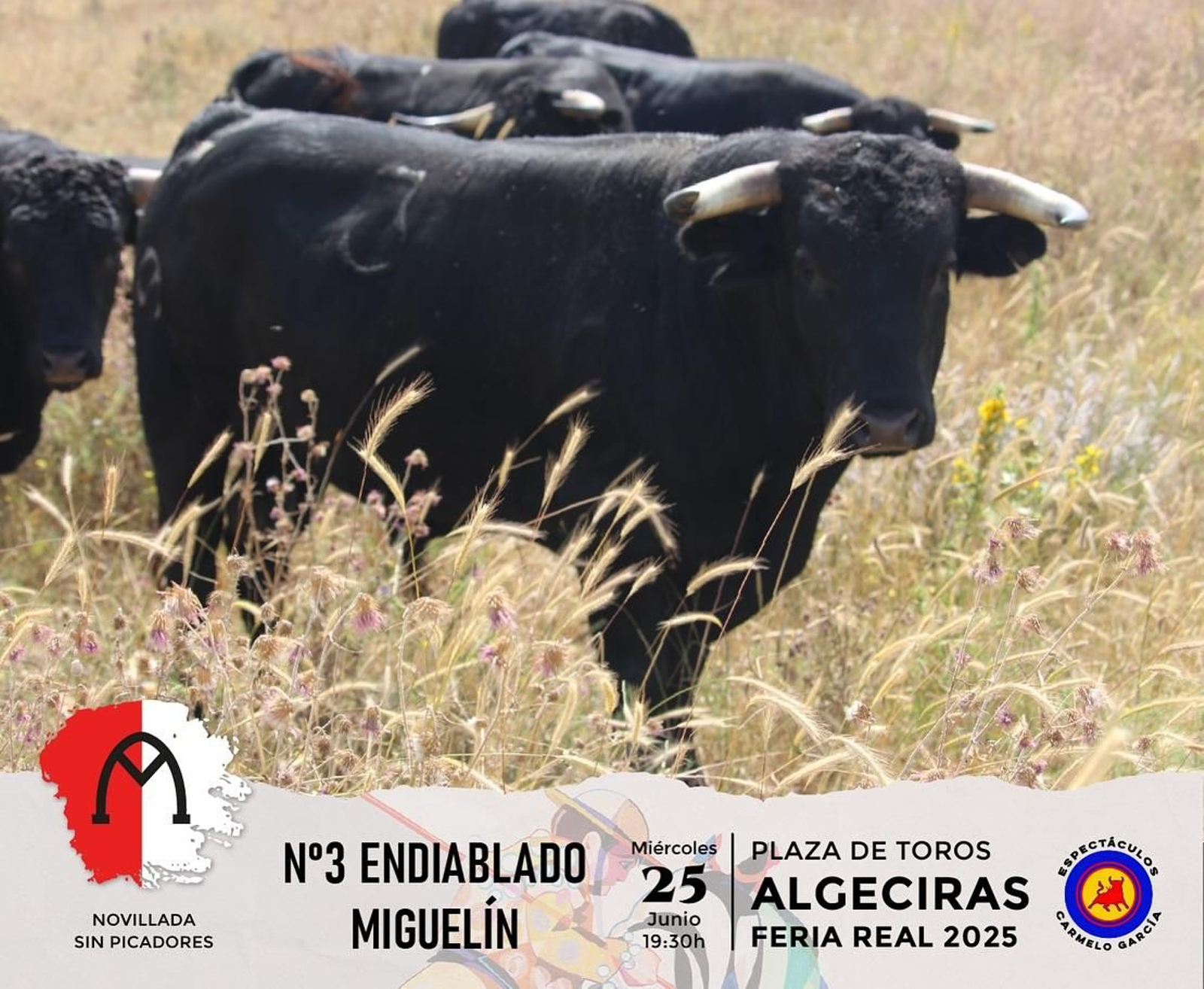 'Endiablado' de la ganadería de Miguelín para la Feria de Algeciras 2025.