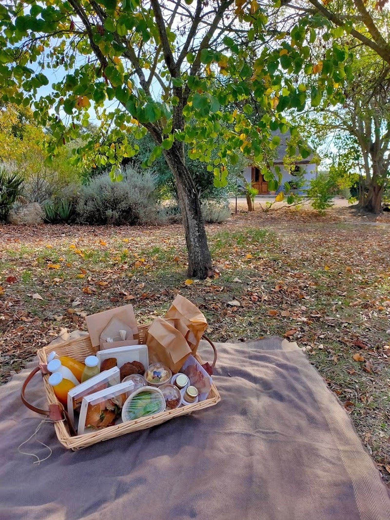 Desayuno en La Volandera.