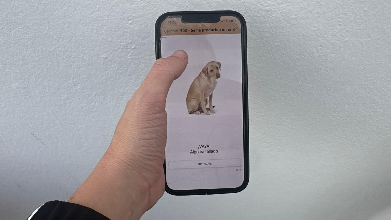 Amazon da error al intentar realizar compras.