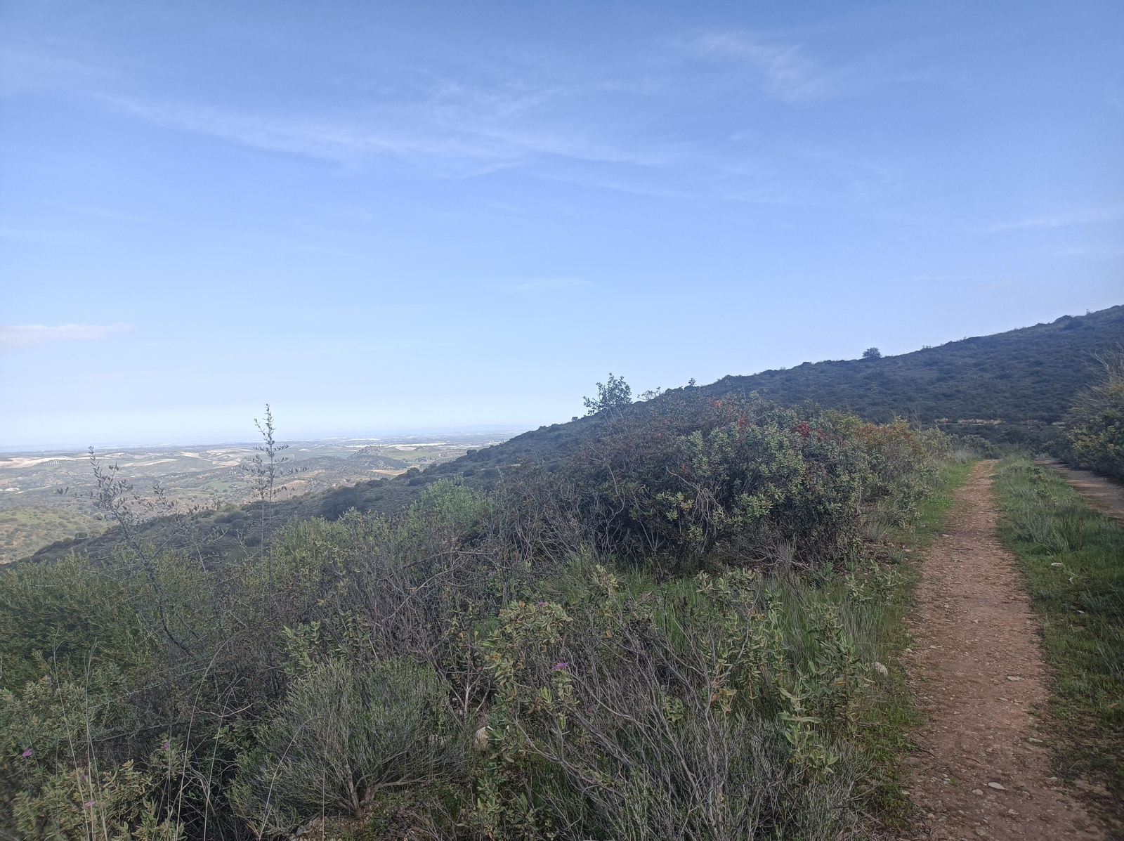 15.	Camino de descenso.