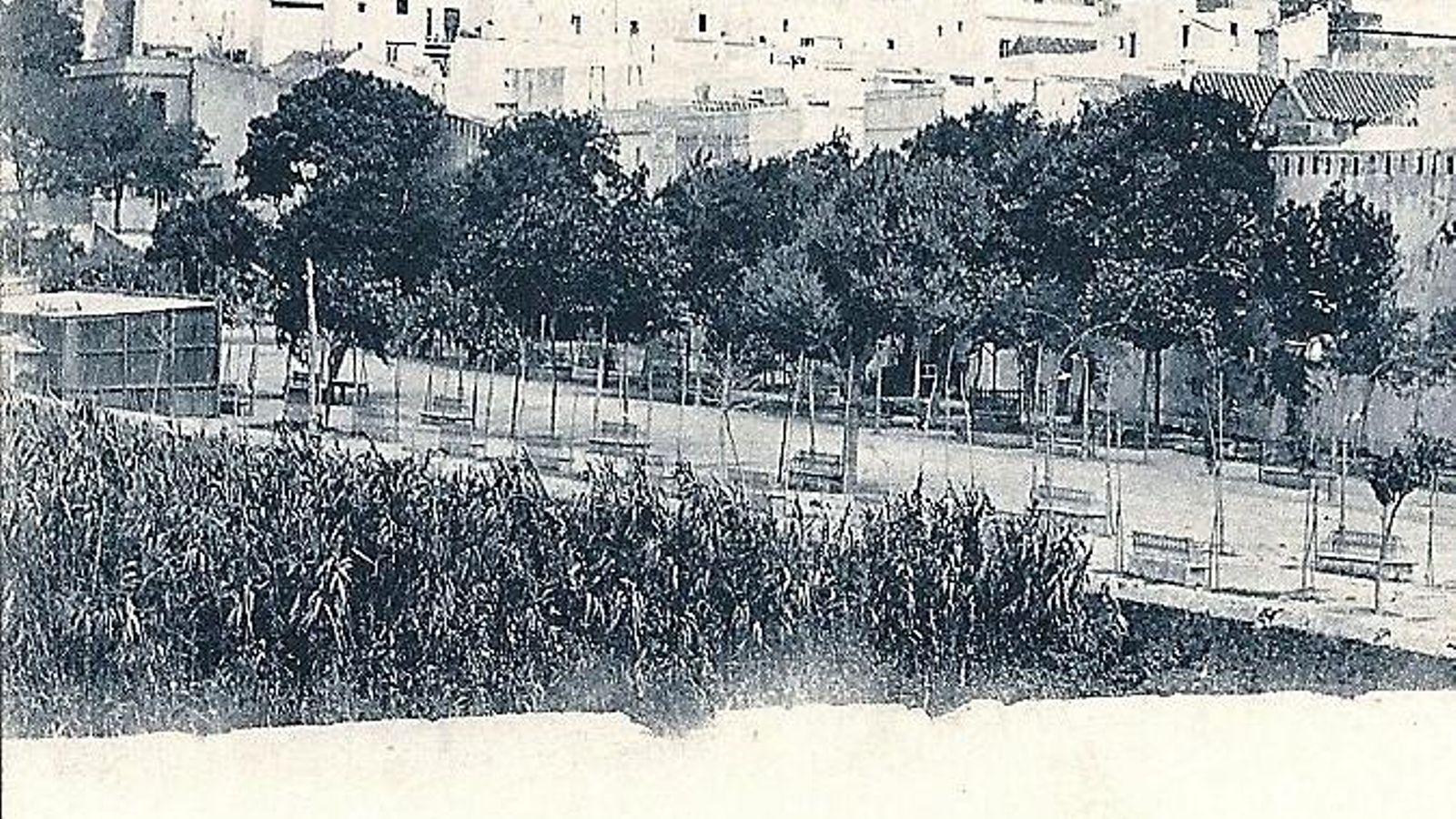 La Alameda a comienzos del siglo XX, nombrada de José María Morales.