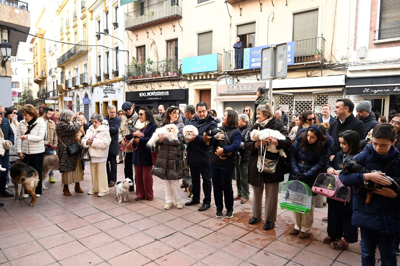 La bendición de animales por San Antón en Córdoba