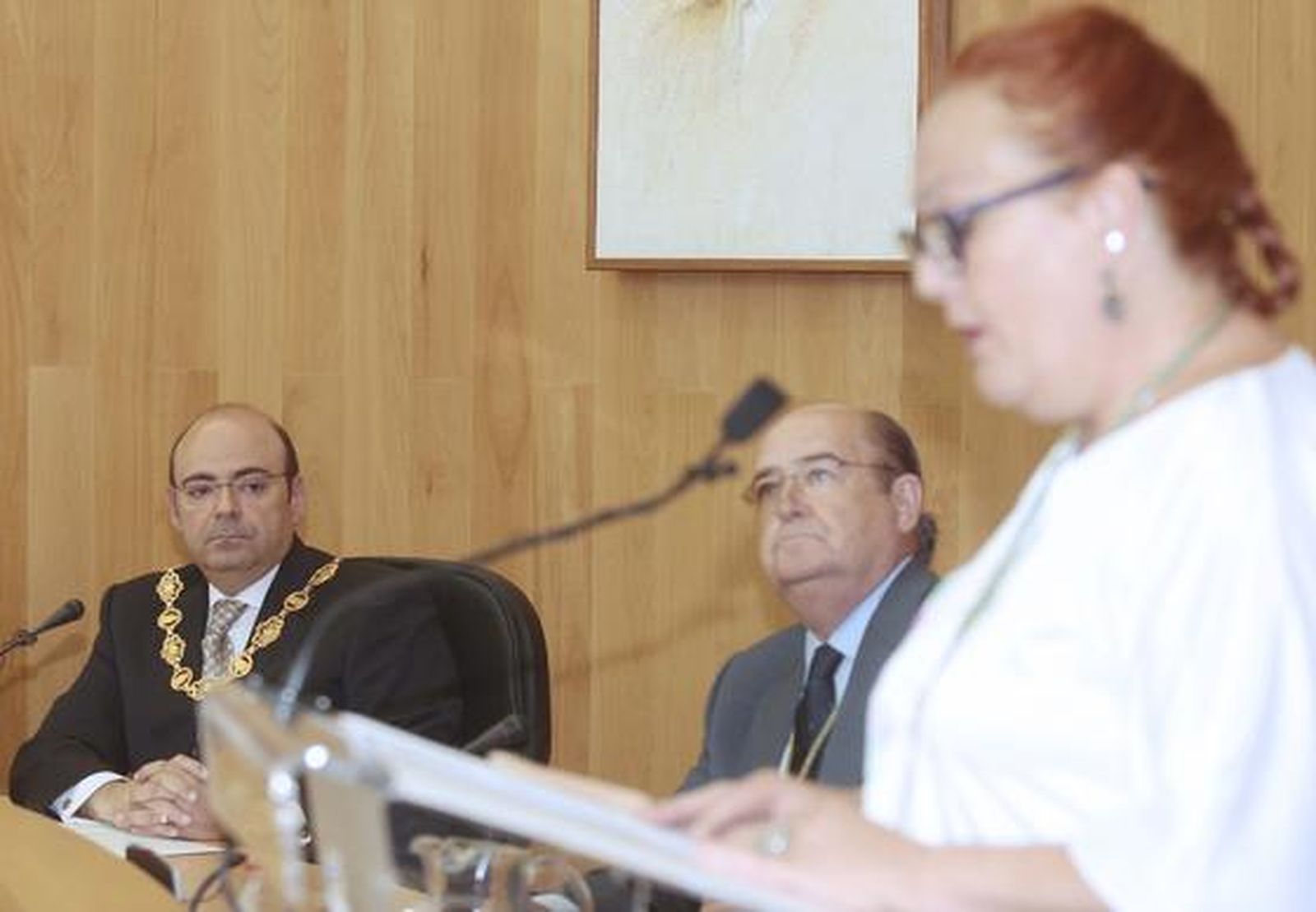 Sebastián Pérez es investido como nuevo presidente de la Diputación de Granada


Foto: Mar?de la Cruz