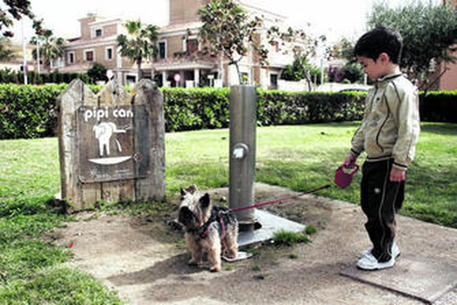 Los parques se convierten en los pocos reductos de libertad de las mascotas.