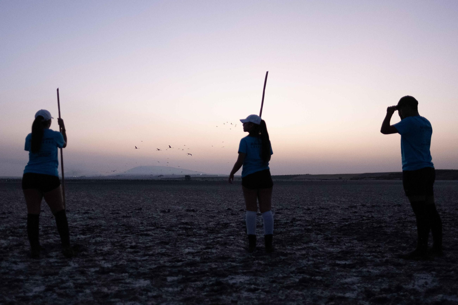 Anillamiento de flamencos en la Laguna de Fuente de Piedra, en imágenes