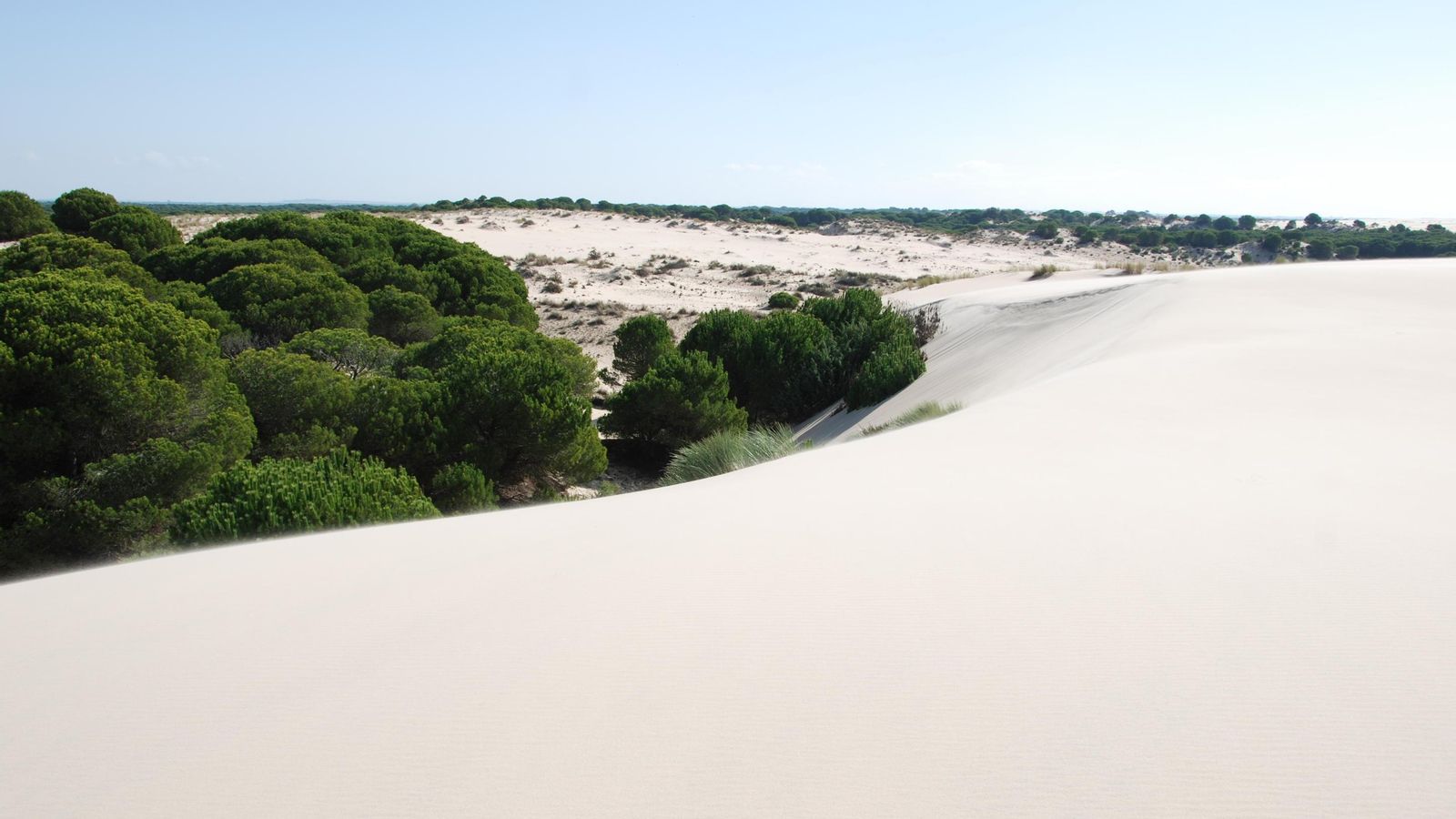 Parque Nacional de Doñana