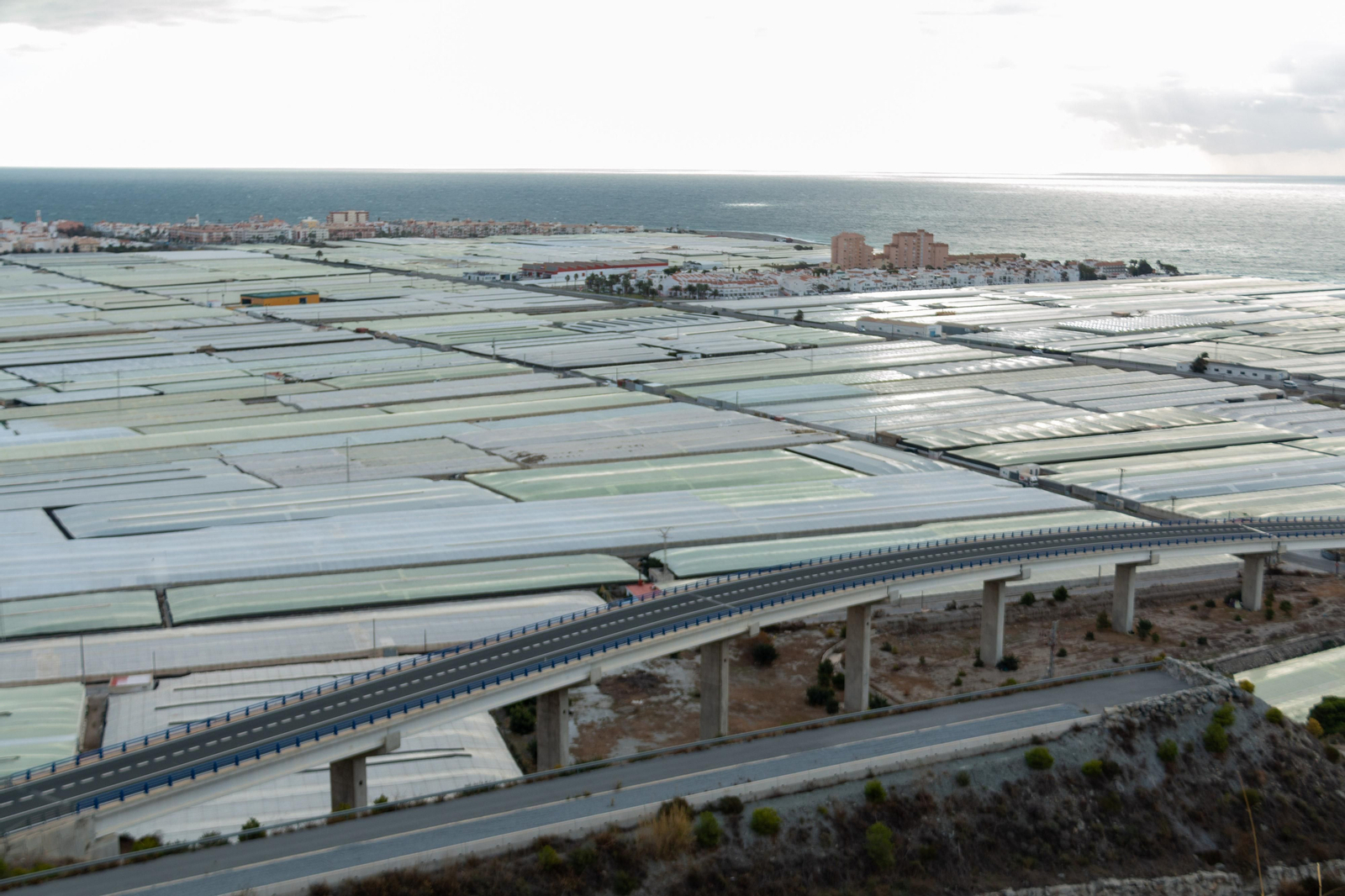 Imagen de los invernaderos del llano de Carchuna- Calahonda