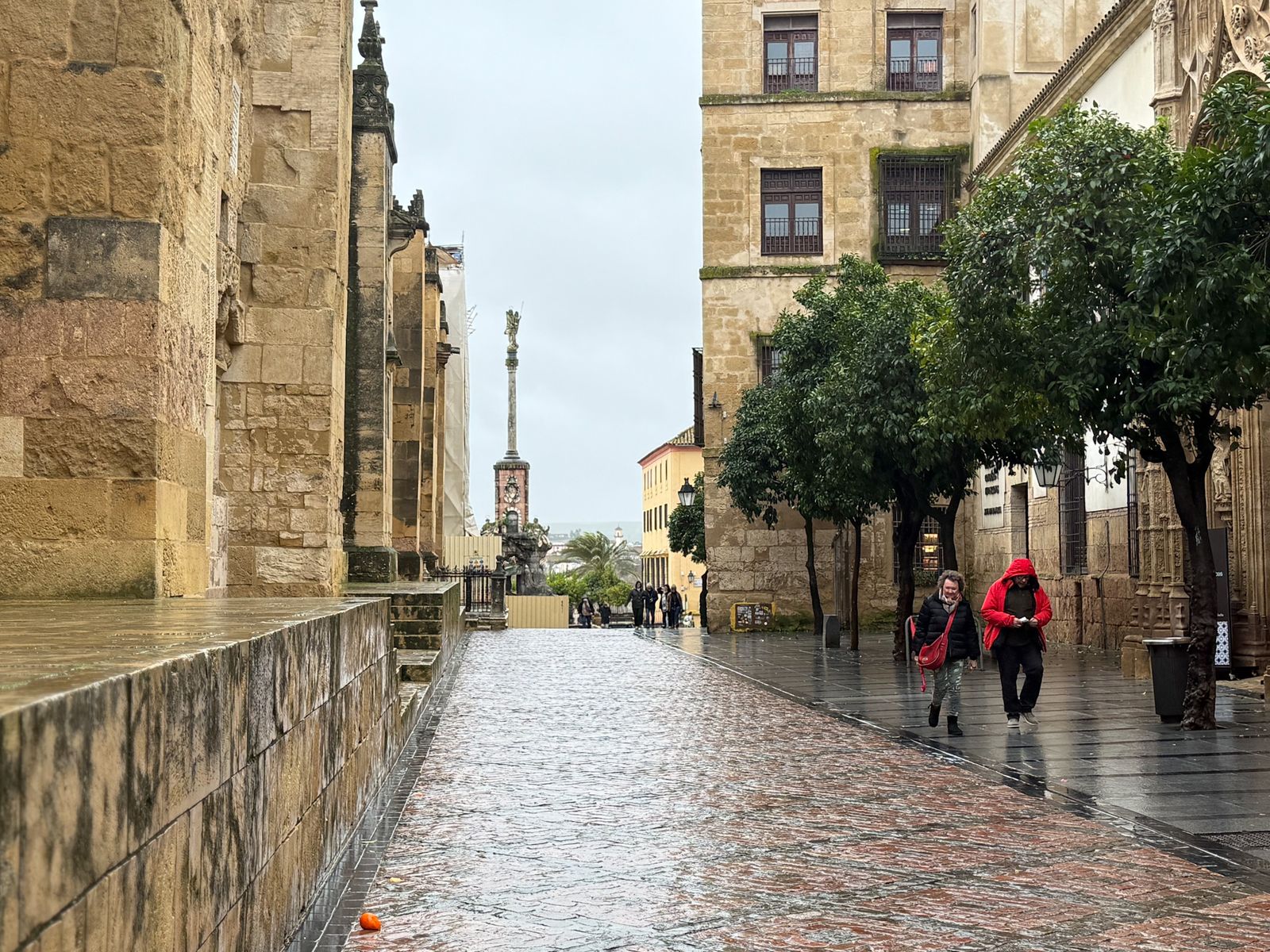 Las fuertes rachas de viento y la lluvia dejan las calles de Córdoba vacías