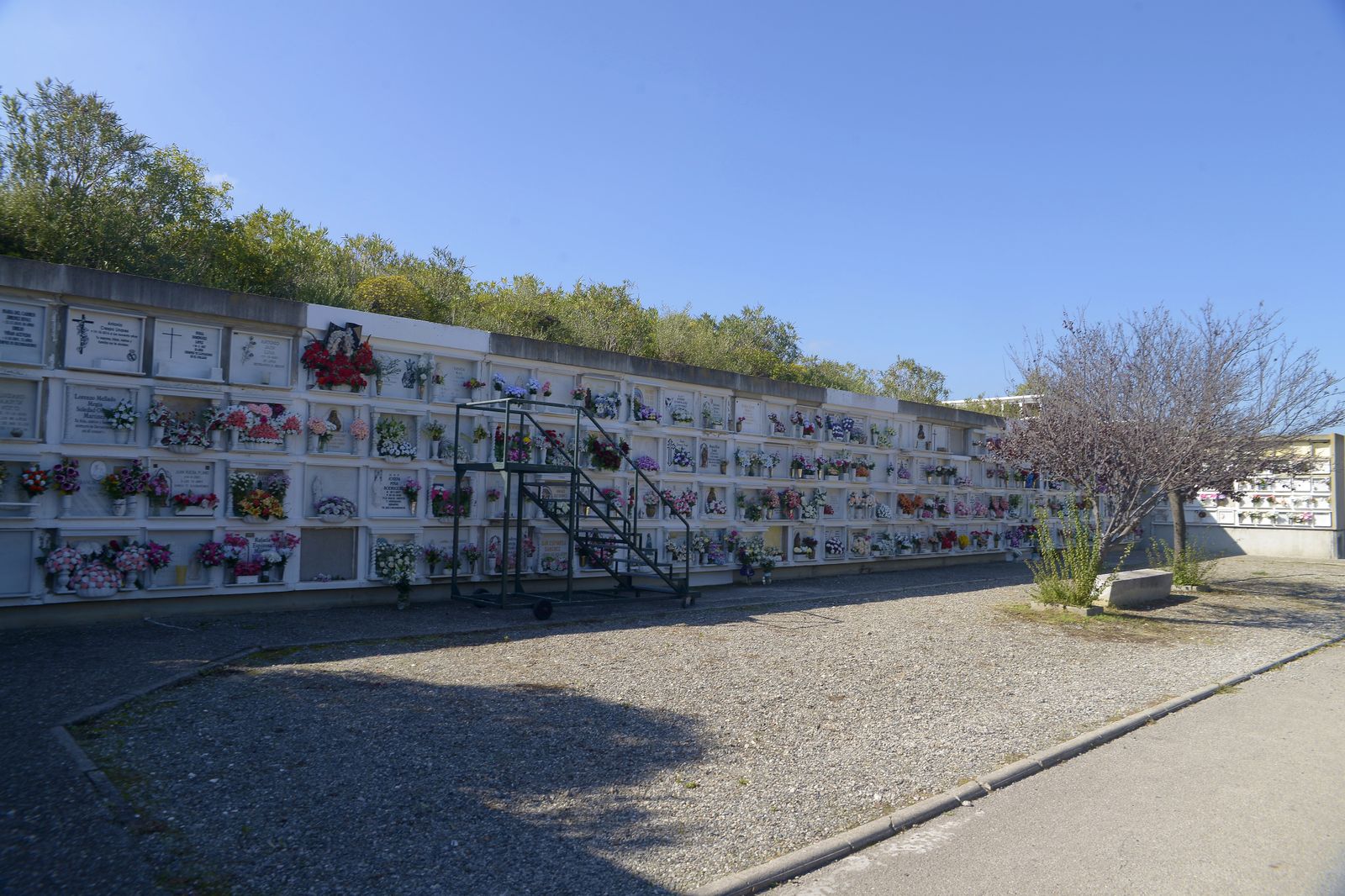 Fotos de los cementerios de Algeciras en el día de los difuntos