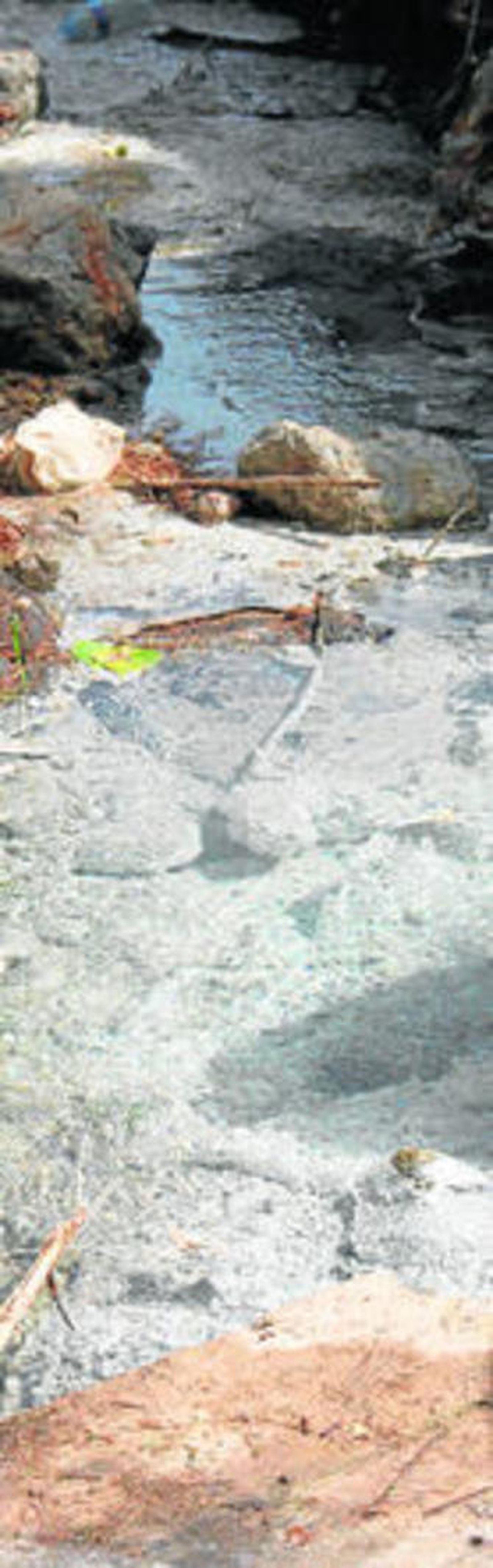 El arroyo de donde brotan las aguas sulfurosas en Paterna.