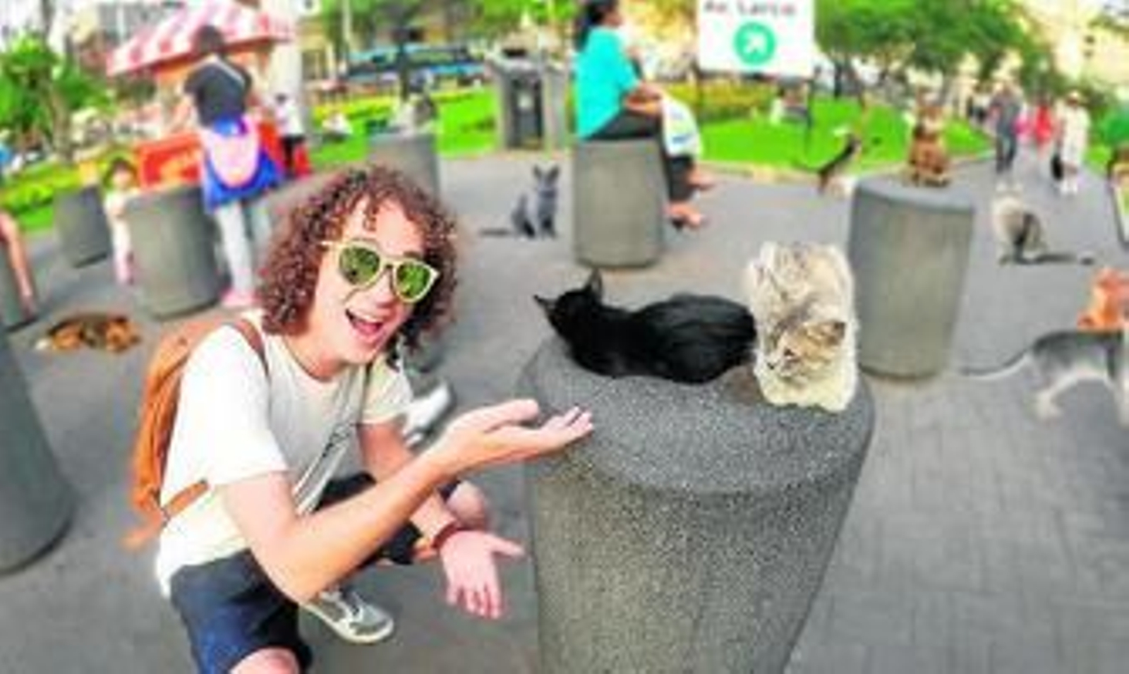 Un parque de gatos almeriense