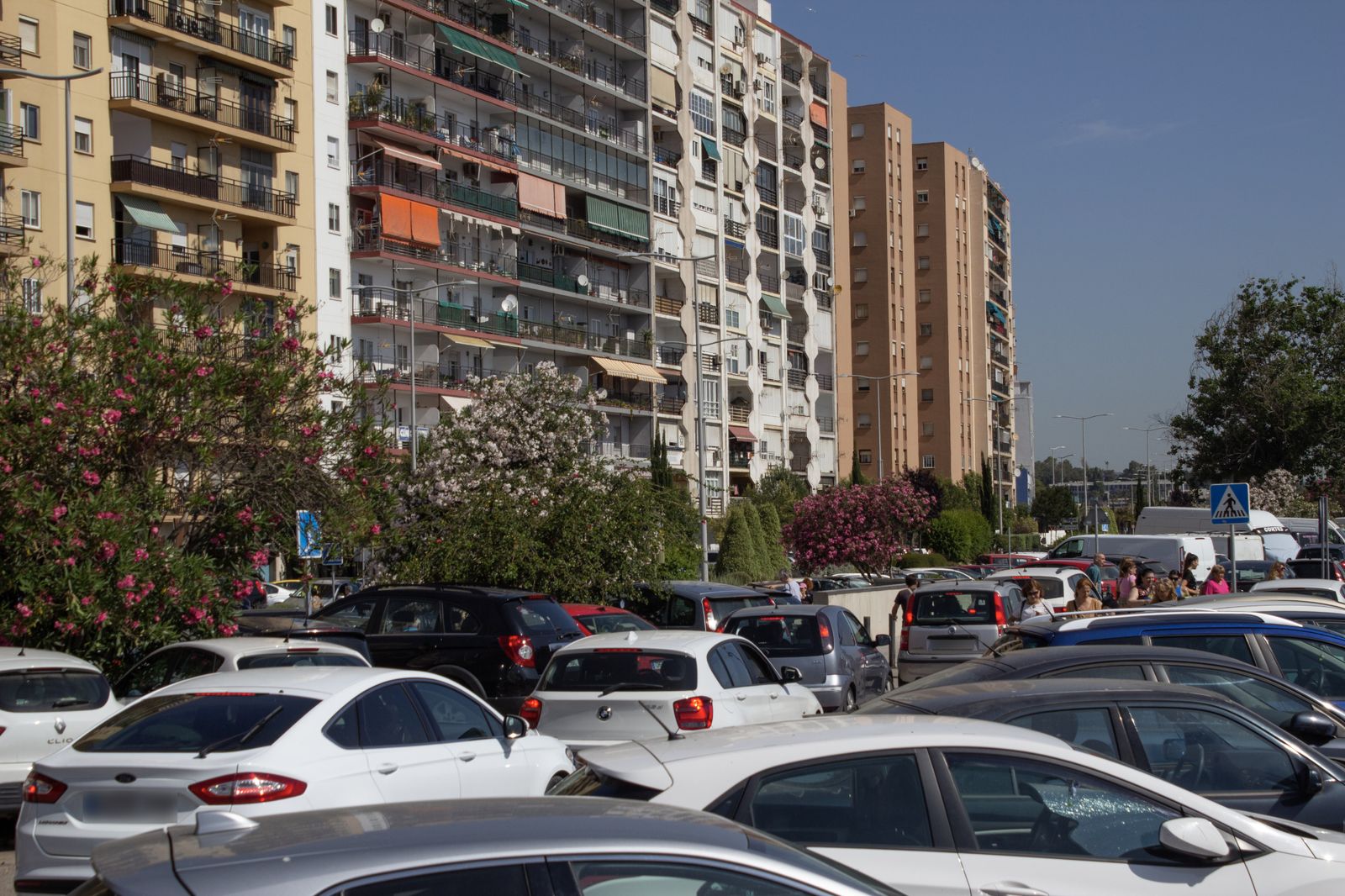 Fotos del mercadillo de Algeciras en el Llano Amarillo
