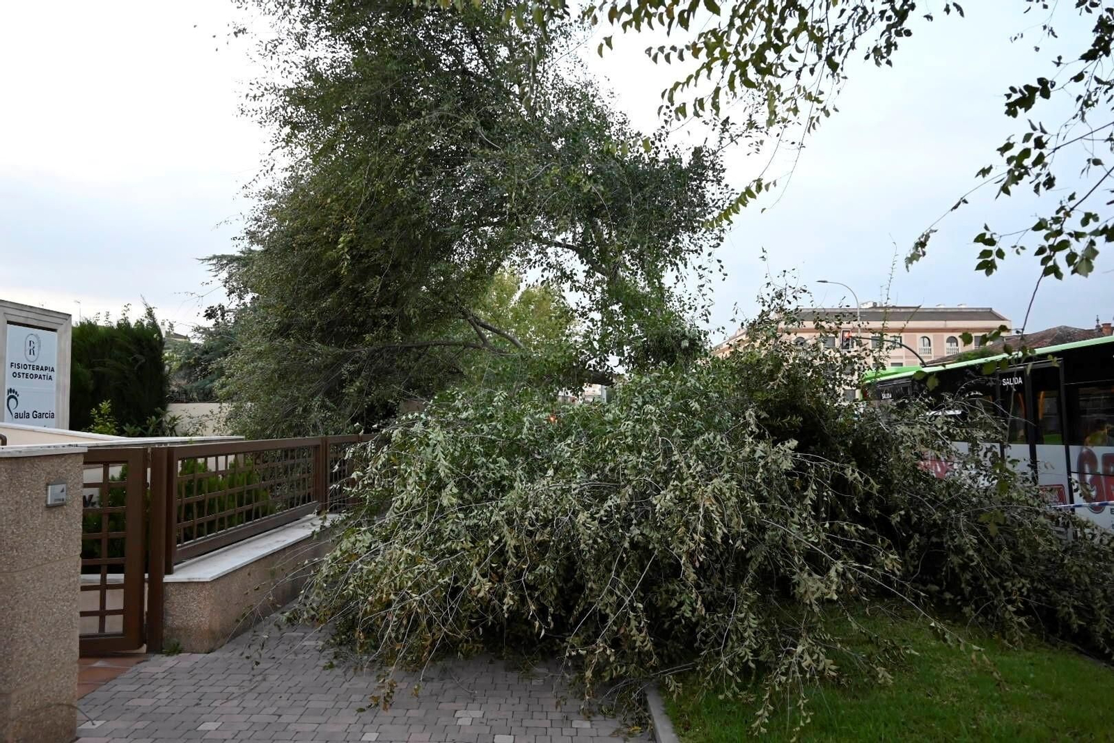 Los daños causados por la borrasca Bernard en Córdoba, en imágenes