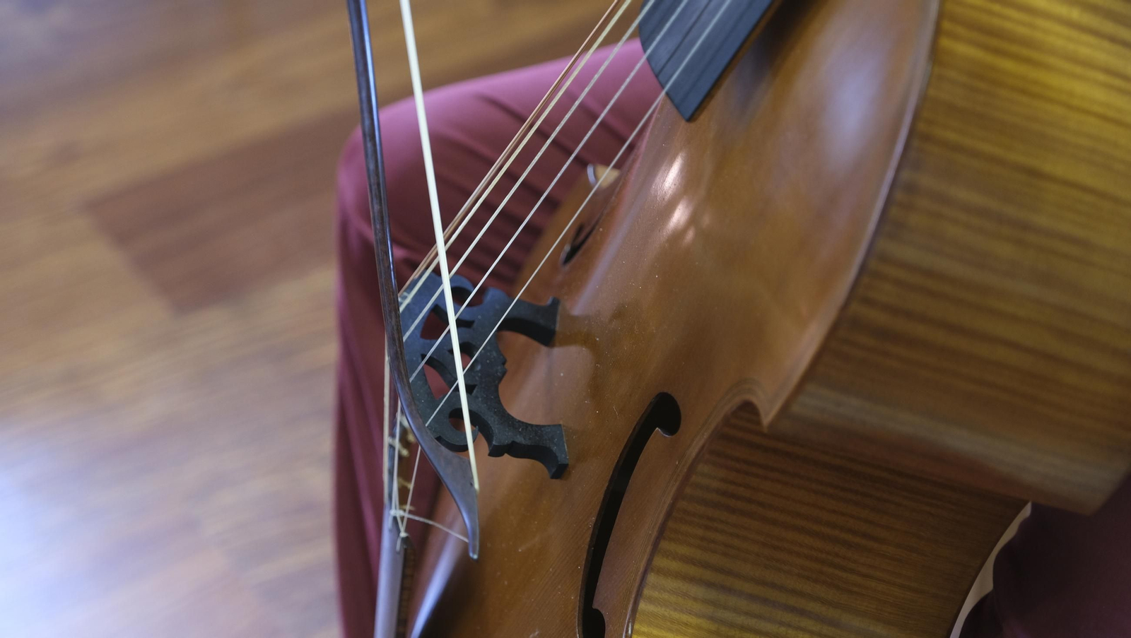 El curso de viola da gamba del Festival de Vélez Blanco, en imágenes