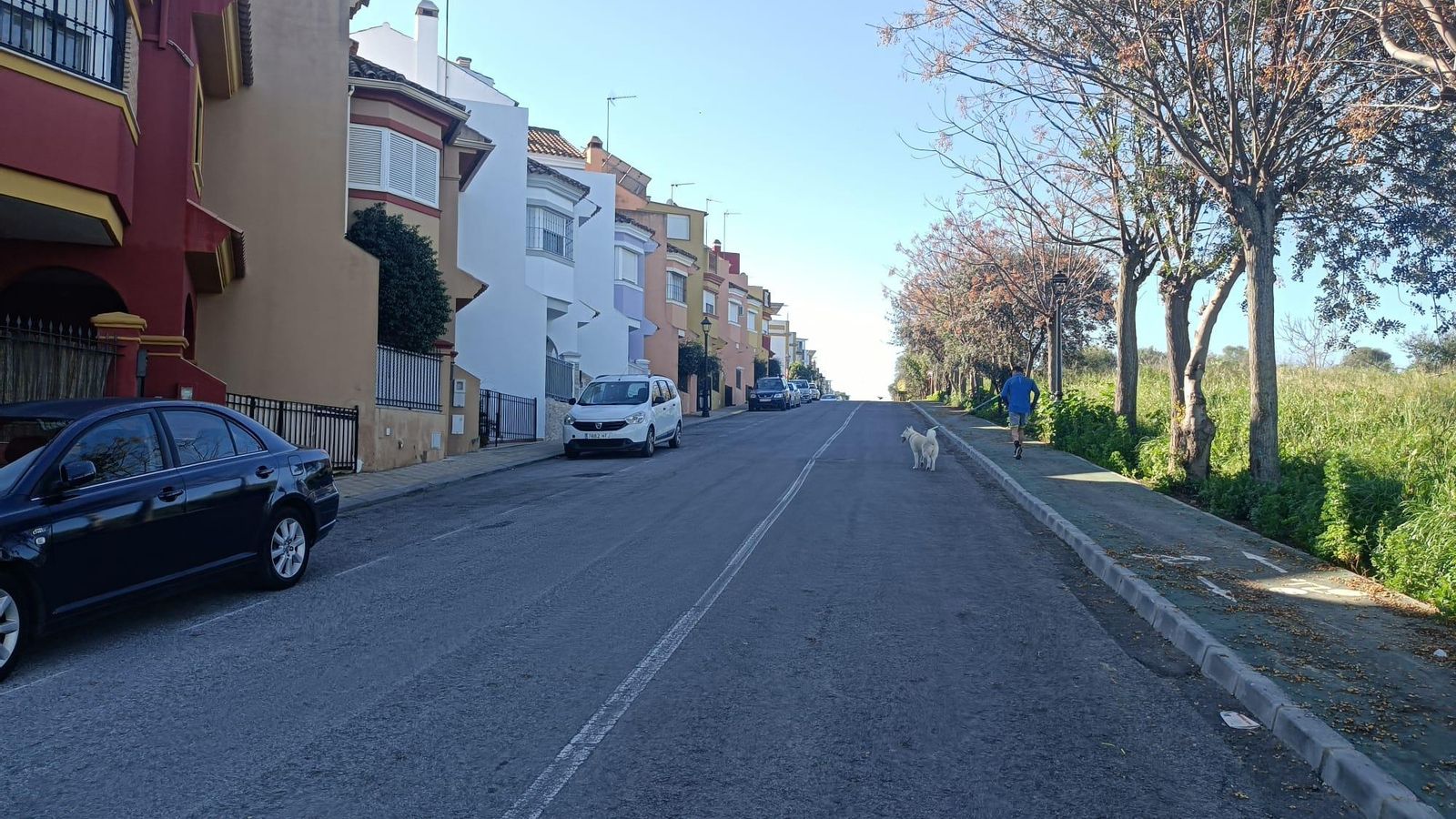 La calle Miguel de Cervantes Saavedra. El Dolmen de Montelirio está en el descampado de la derecha.