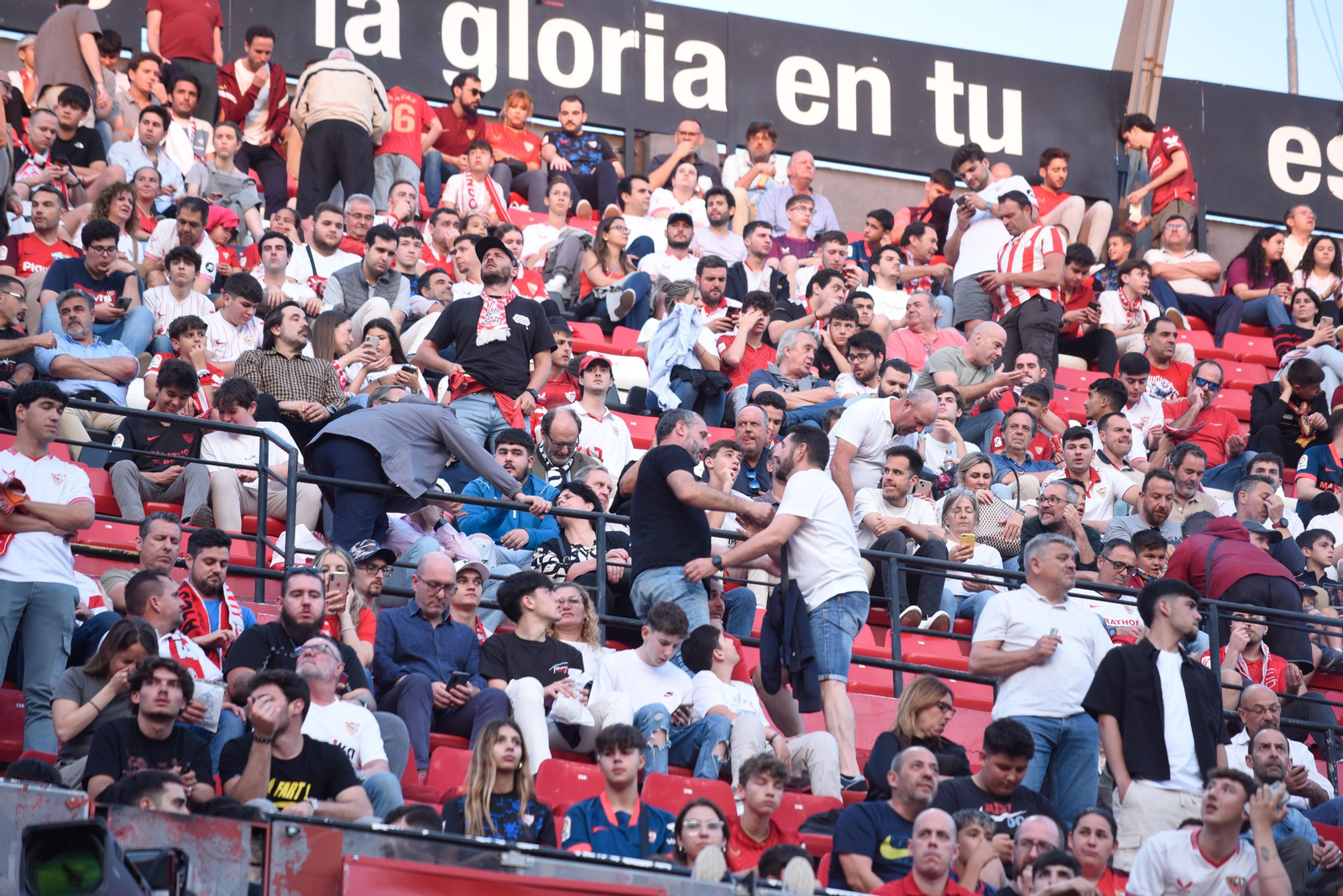 Búscate en el Sevilla-Mallorca