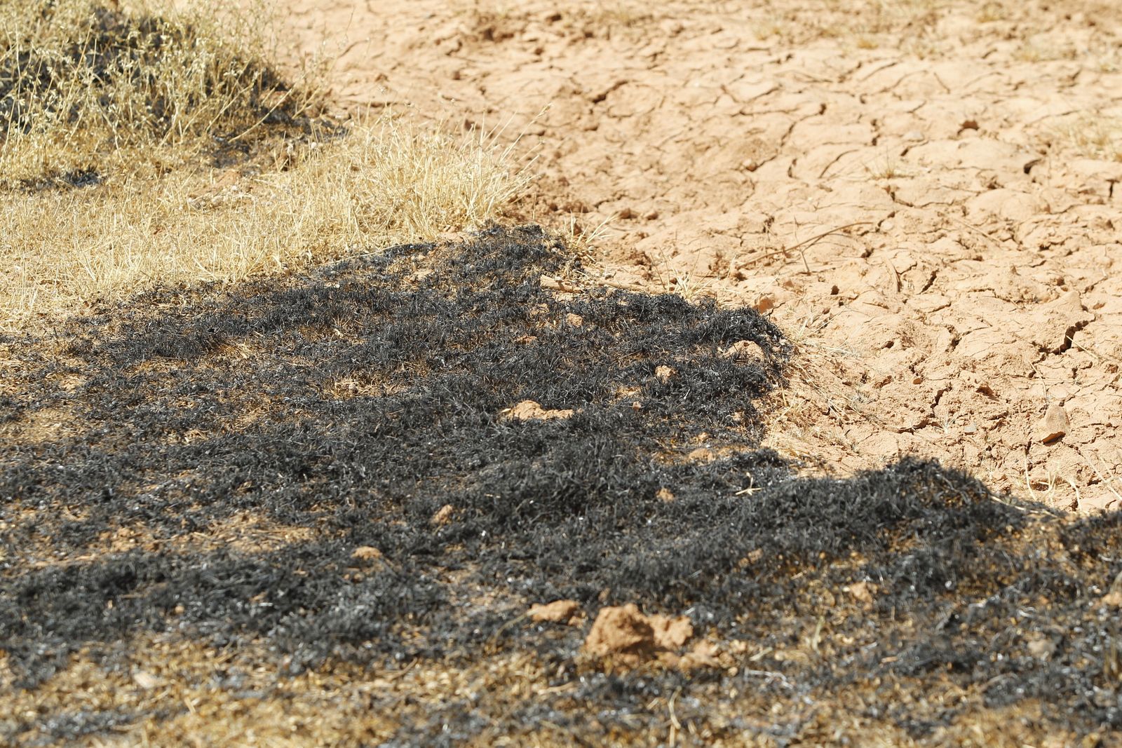 Fotogalería incendio extinguido Sierra de Gádor