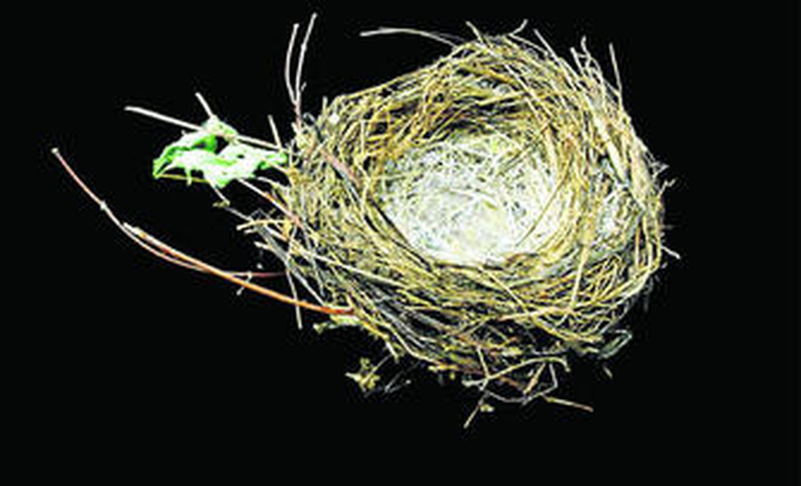 1. La primera parte de la exposición 'Corrección' traza un camino exigente imaginario que aborda ejercicios de reflexión y donde se aborda una metáfora existencial con una humanidad en absoluta soledad como protagonista. 2. En la segunda serie aparece un paisaje más evidente, pero igualmente lleno de inquietantes visiones; un paisaje que posibilita el encuentro con un universo de presencias y ausencias, con lo real y lo imaginario.