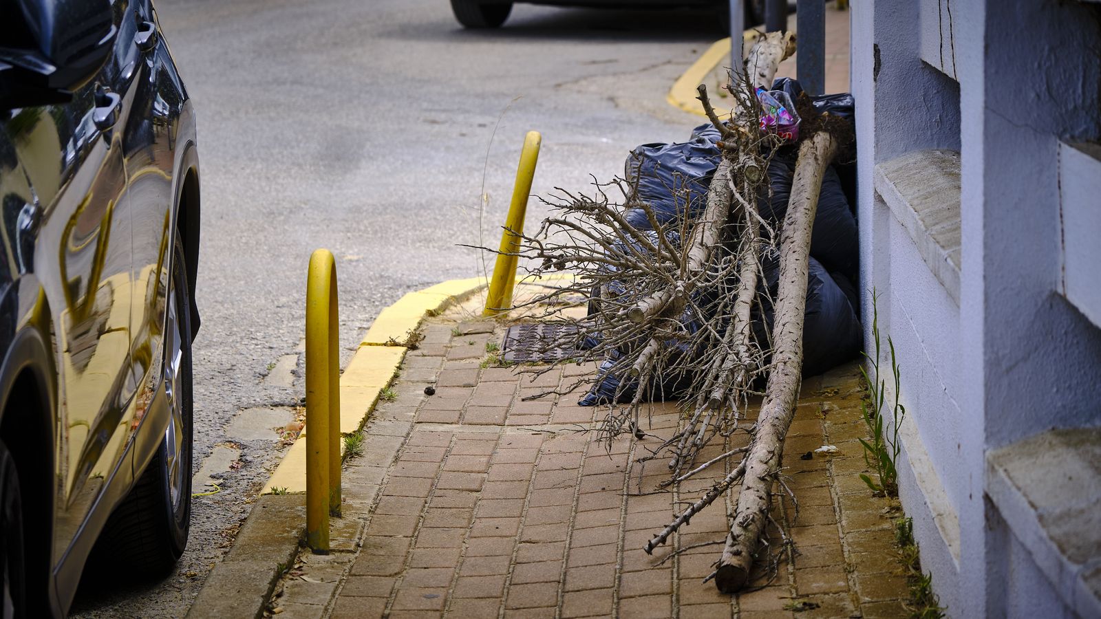Bolsas de basura y restos de poda, acumuladas en una de las calles de la urbanización.