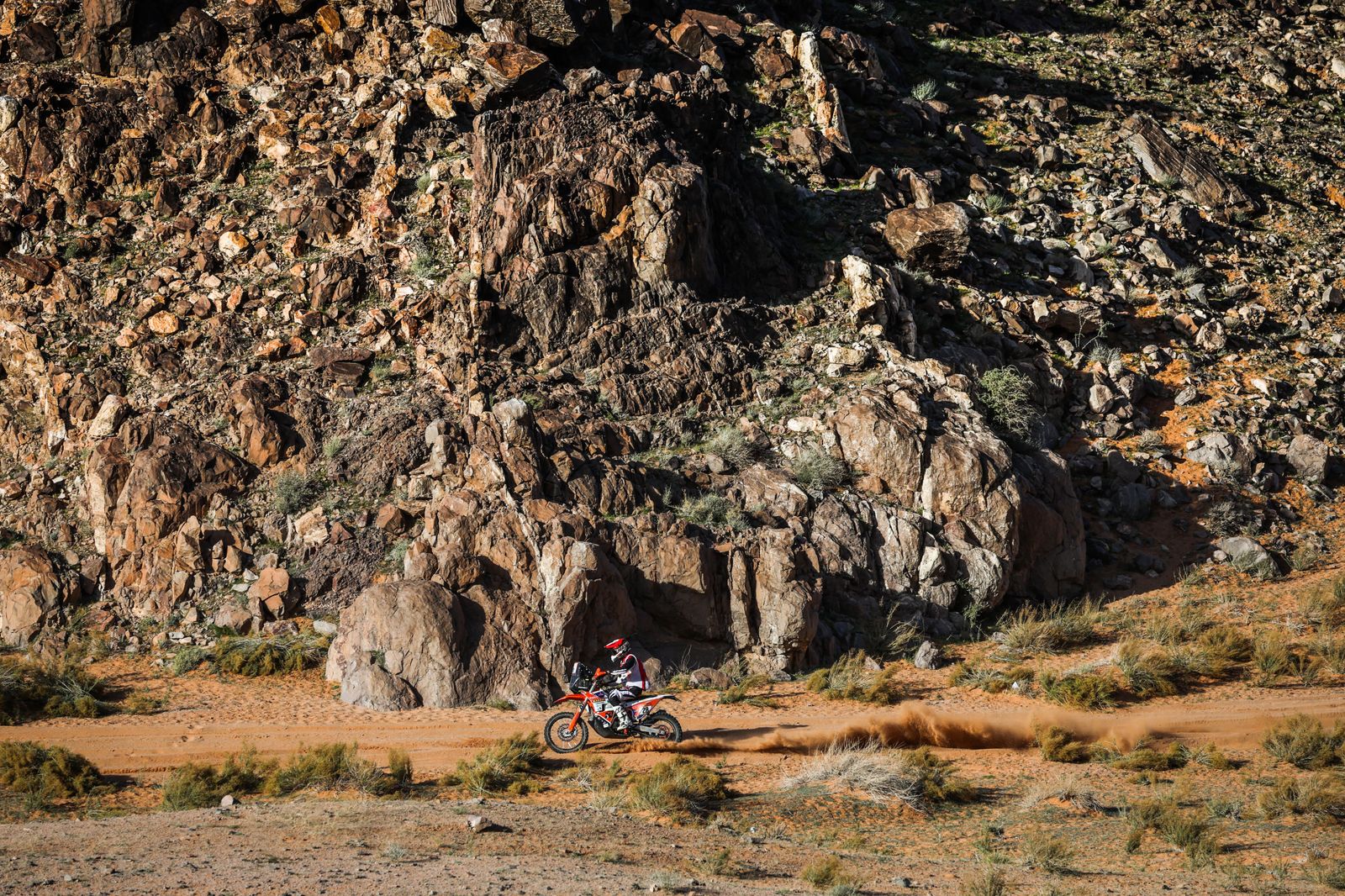 La etapa 9 del Rally Dakar, en fotos