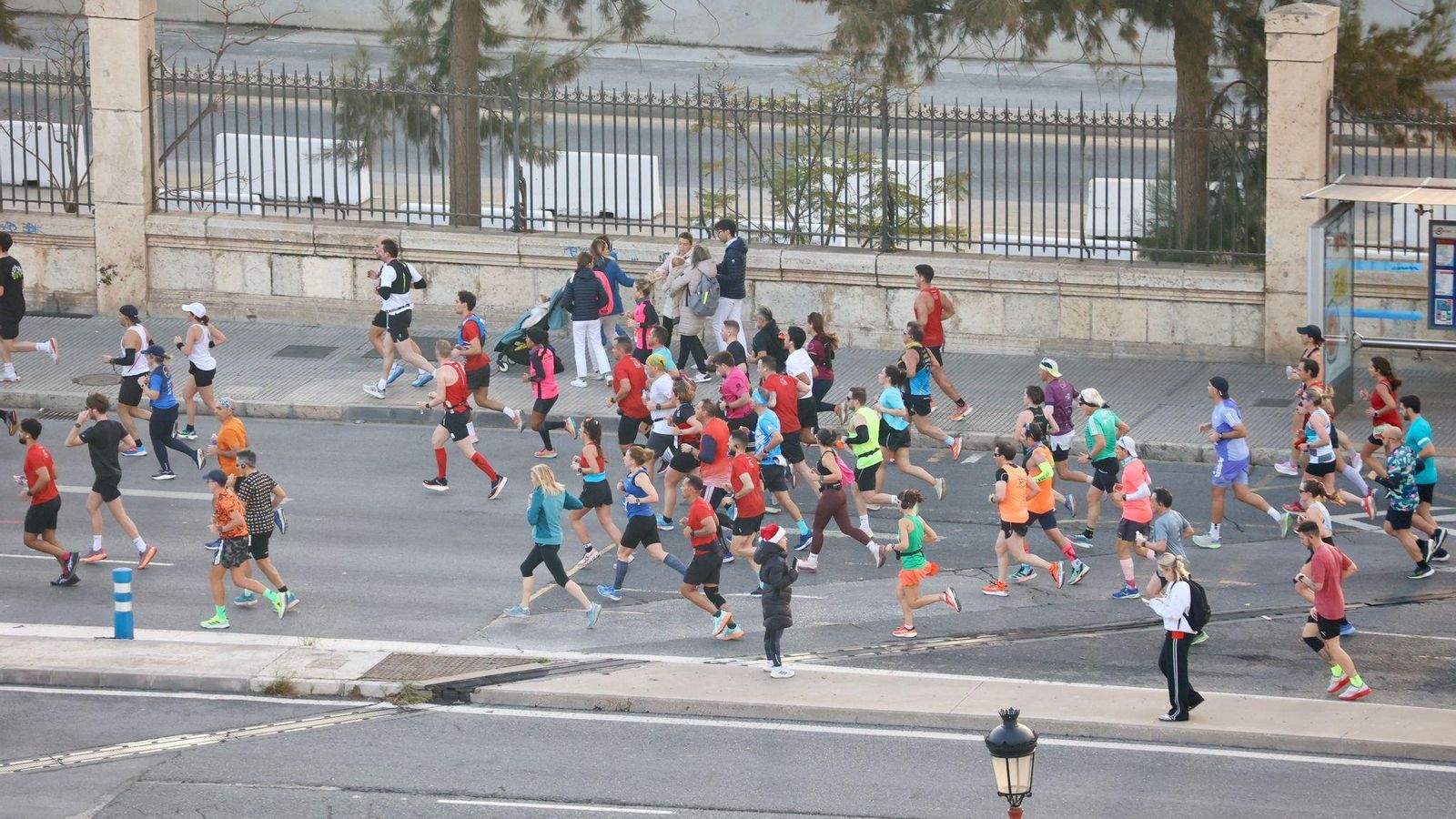 Las mejores fotos de la Maratón de Málaga 2024