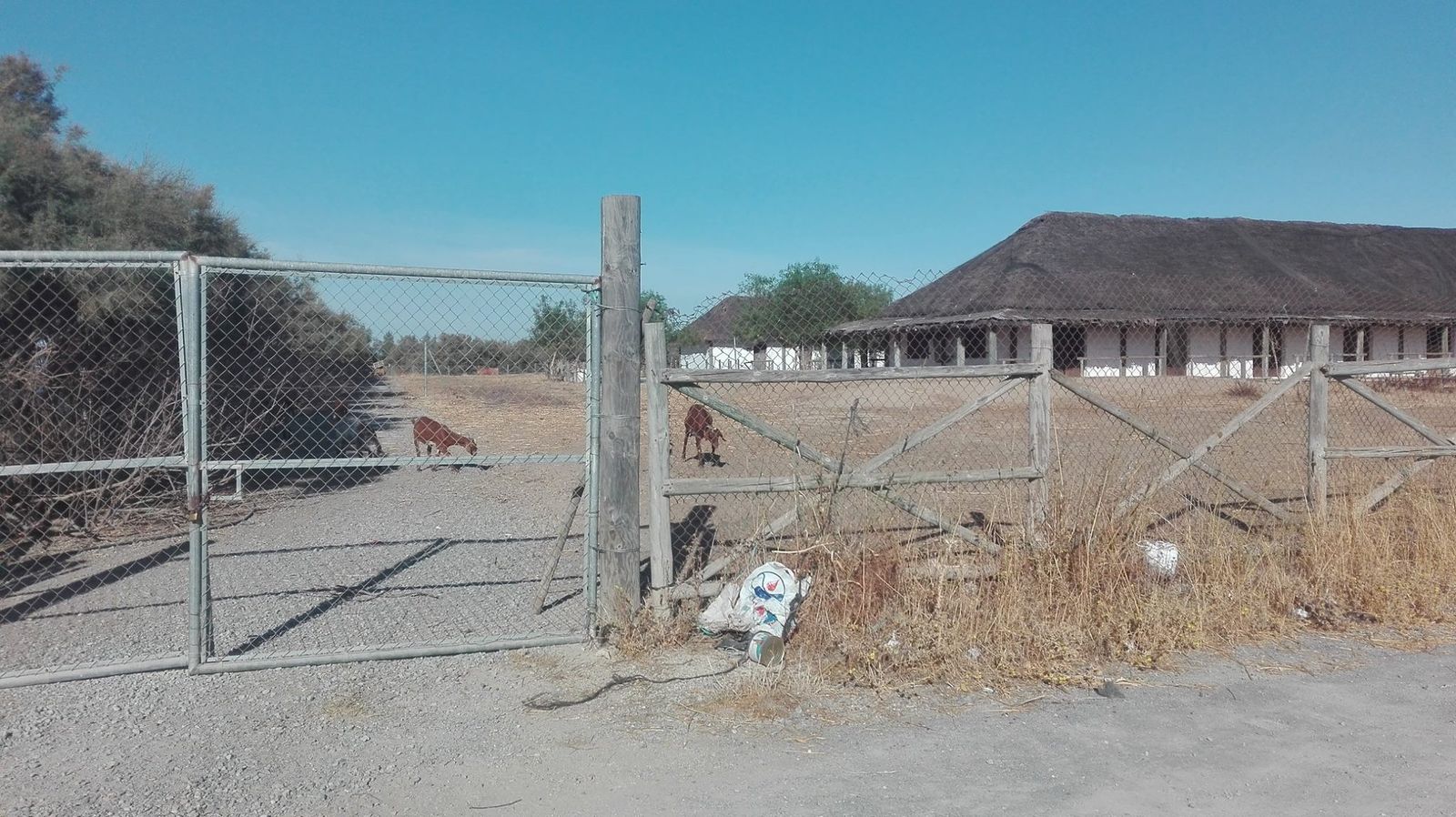 Una de las fotografías que ha difundido el PSOE para denunciar el estado de las chozas marismeñas.