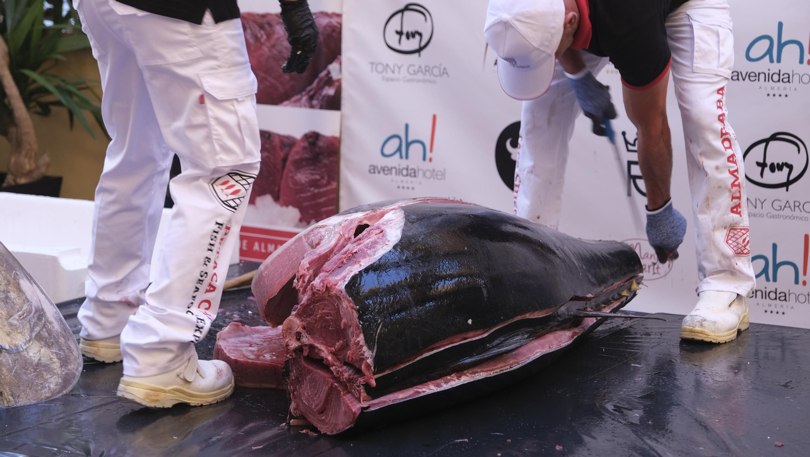 El ronqueo del atún de Almadraba en el Espacio Gastronómico Tony García, en imágenes
