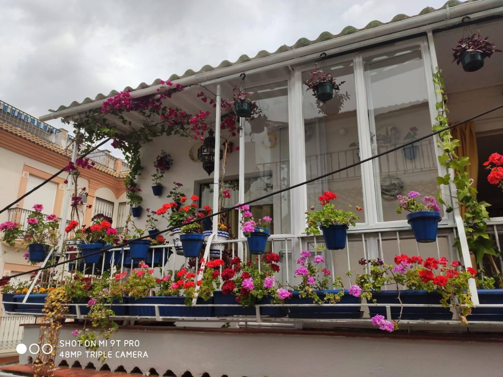 Fotografías de cómo lucen los patios, balcones y rejas de Iznájar.