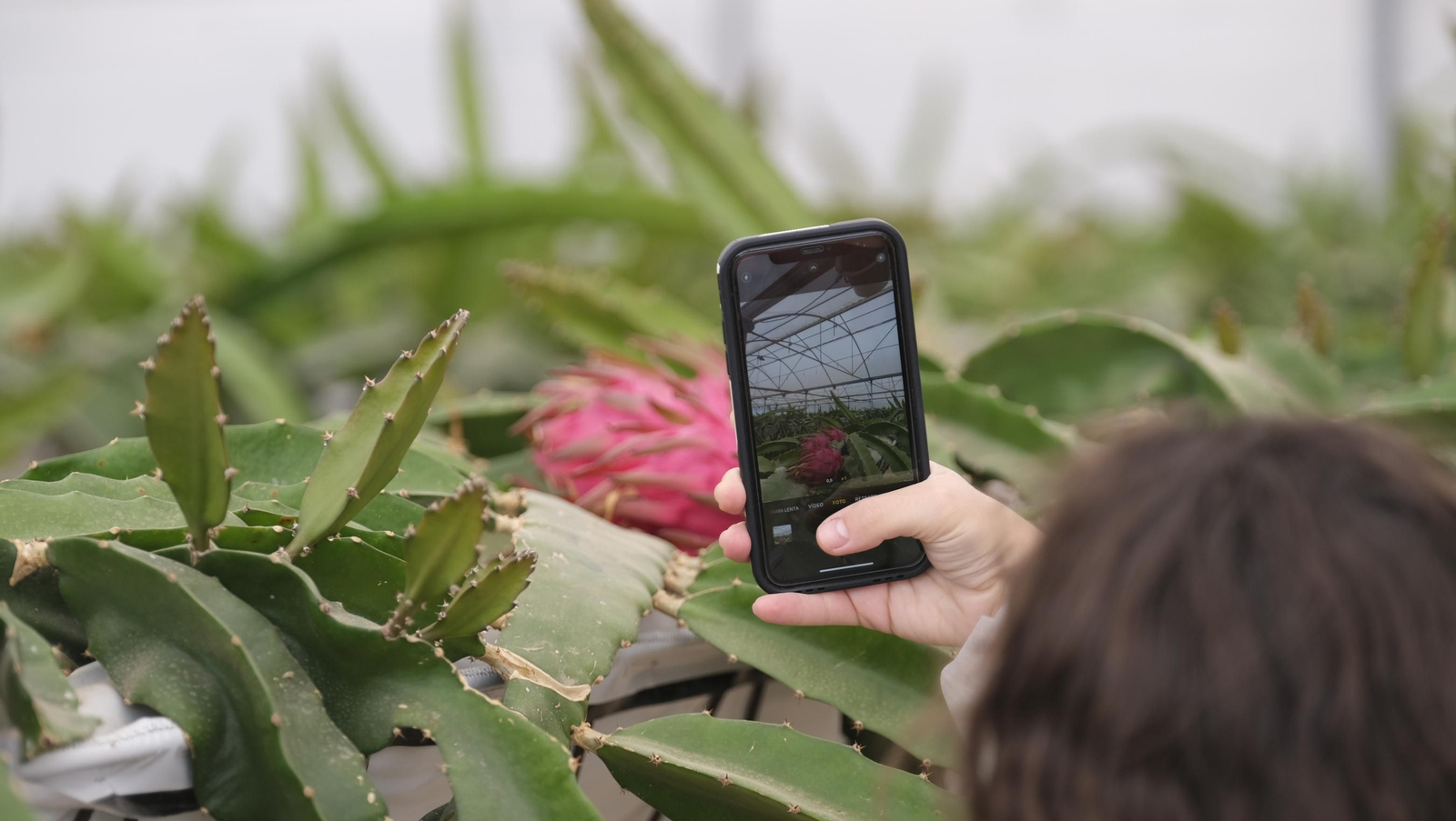 Imágenes del Foro Datagri en Las Palmerillas Cajamar