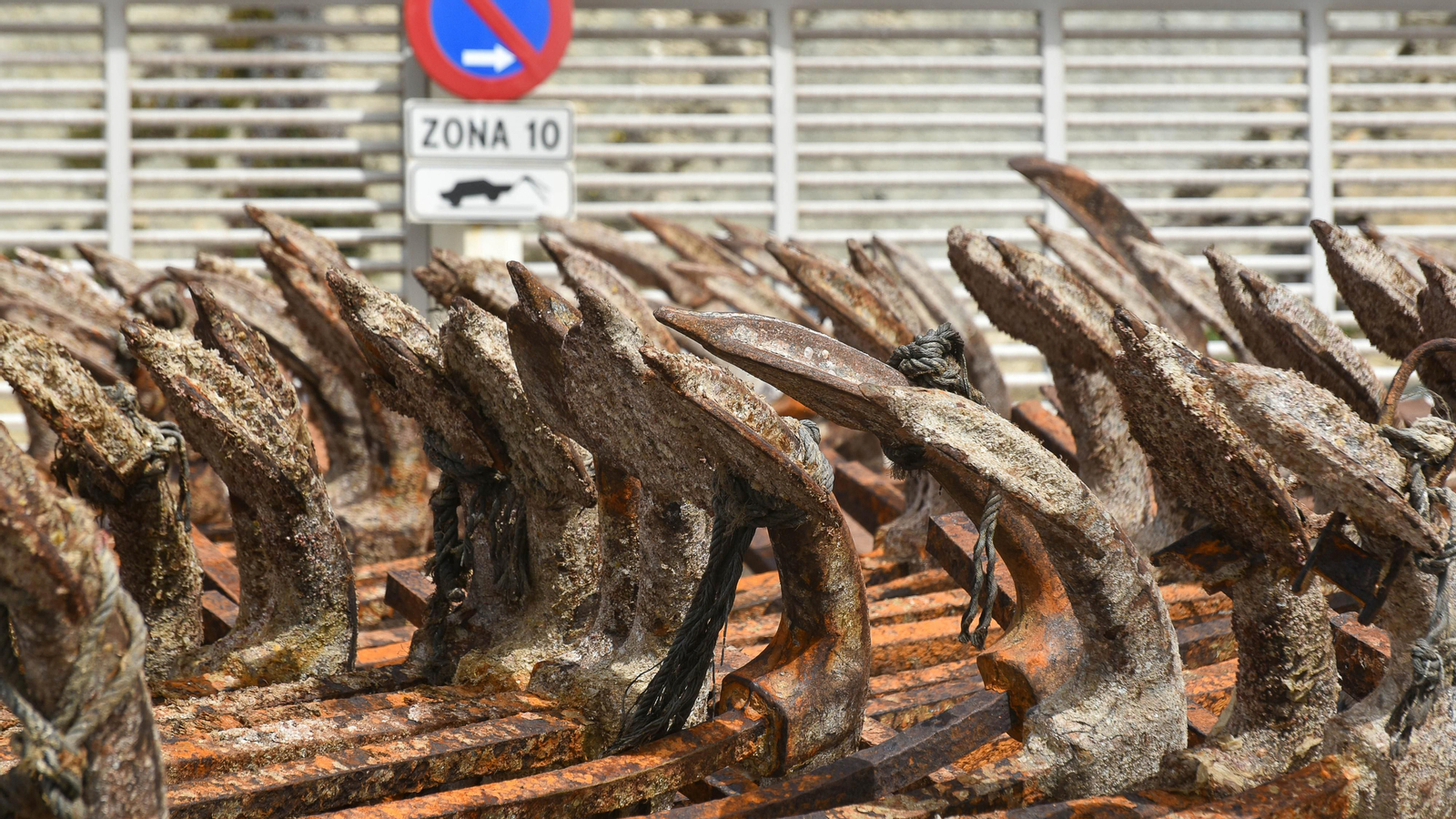 Las fotos del puerto pesquero de Tarifa