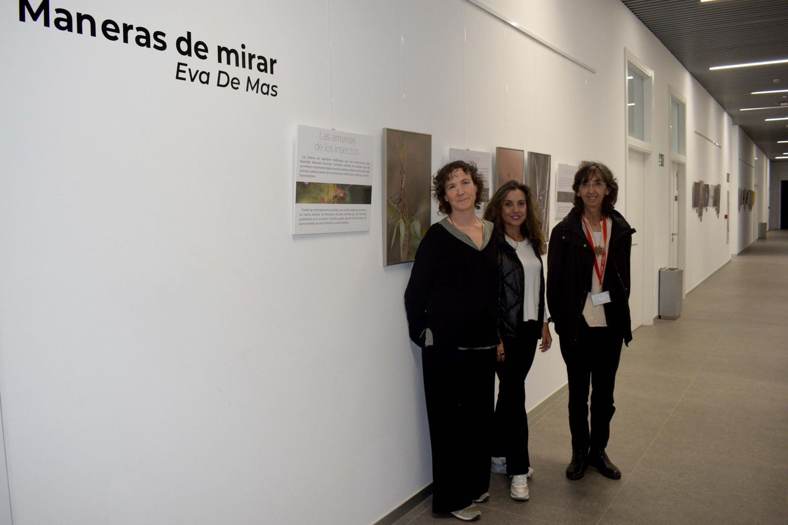 Eva De Mas, Elisa Álvarez  y Teresa Abáigar posan ante la exposición.